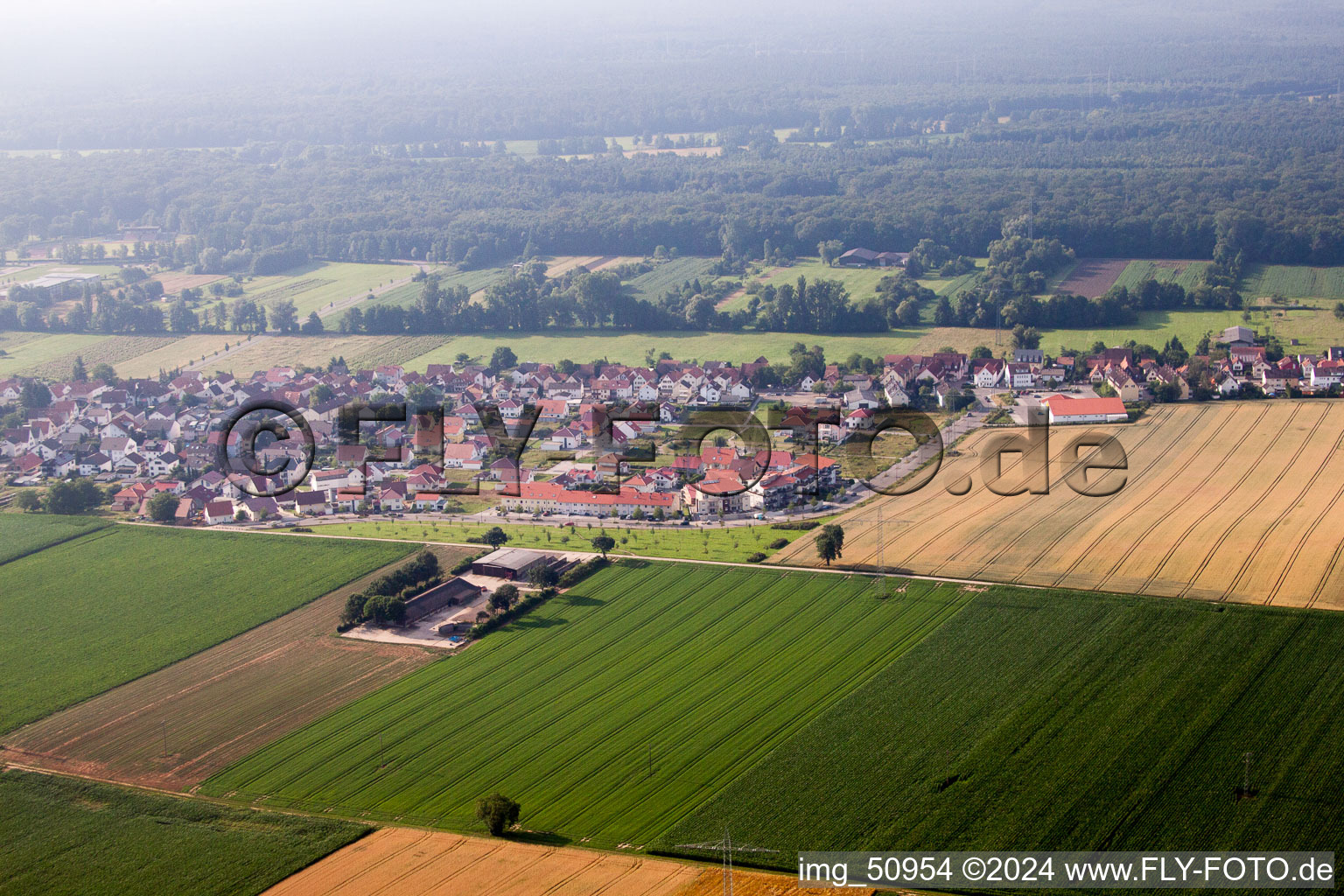 Photographie aérienne de Kandel dans le département Rhénanie-Palatinat, Allemagne