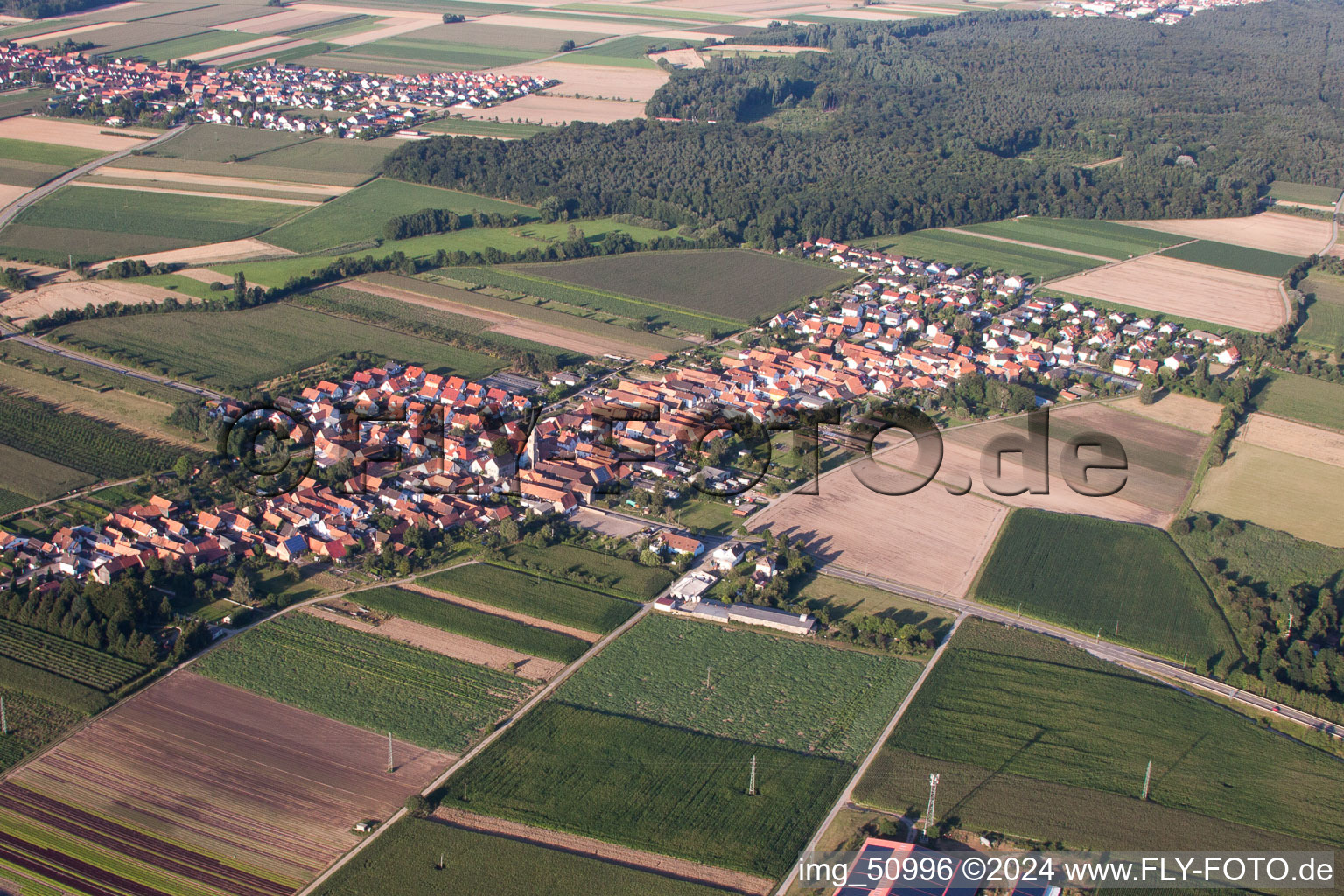 Photographie aérienne de Du sud-ouest à Erlenbach bei Kandel dans le département Rhénanie-Palatinat, Allemagne