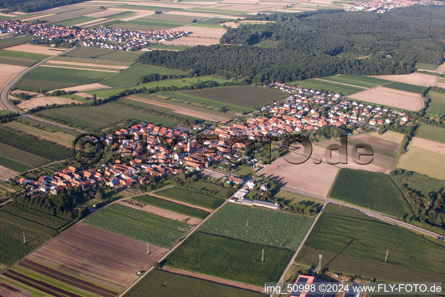 Vue oblique de Du sud-ouest à Erlenbach bei Kandel dans le département Rhénanie-Palatinat, Allemagne