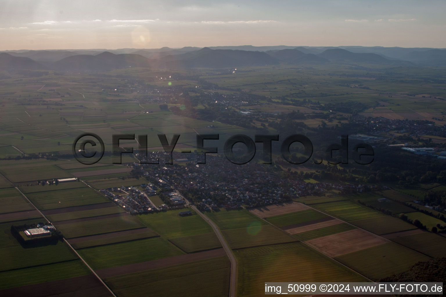 Vue aérienne de De l'est à Steinweiler dans le département Rhénanie-Palatinat, Allemagne