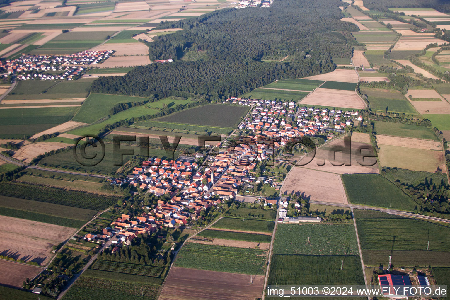 Vue aérienne de De l'ouest à Erlenbach bei Kandel dans le département Rhénanie-Palatinat, Allemagne