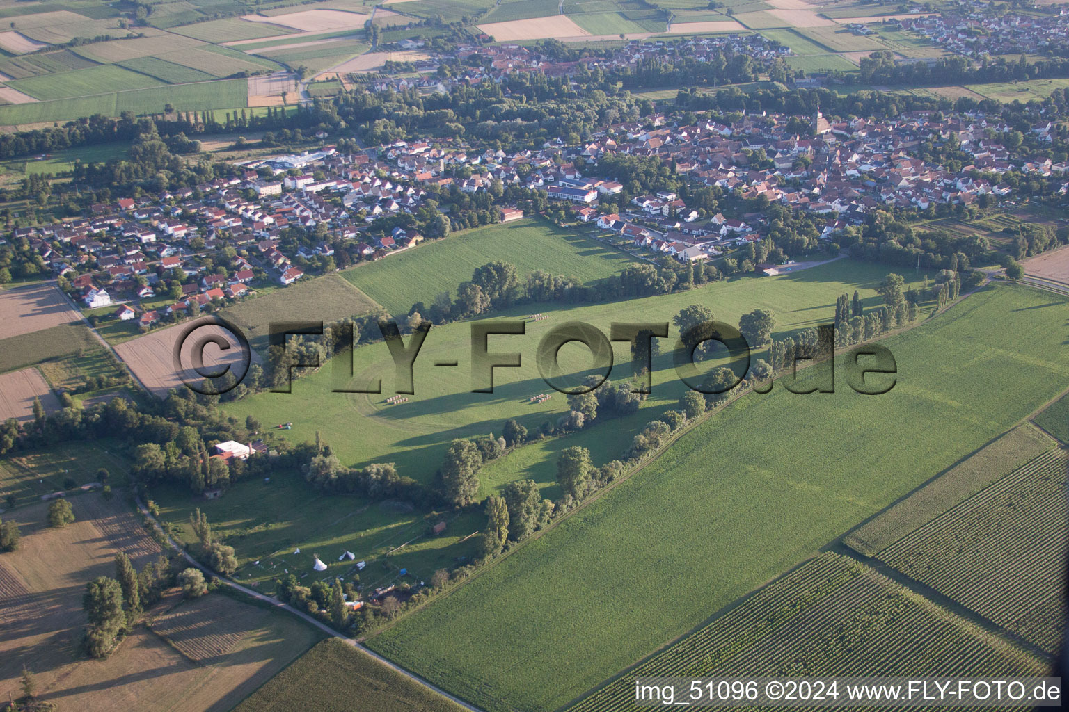 Vue aérienne de Quartier Billigheim in Billigheim-Ingenheim dans le département Rhénanie-Palatinat, Allemagne