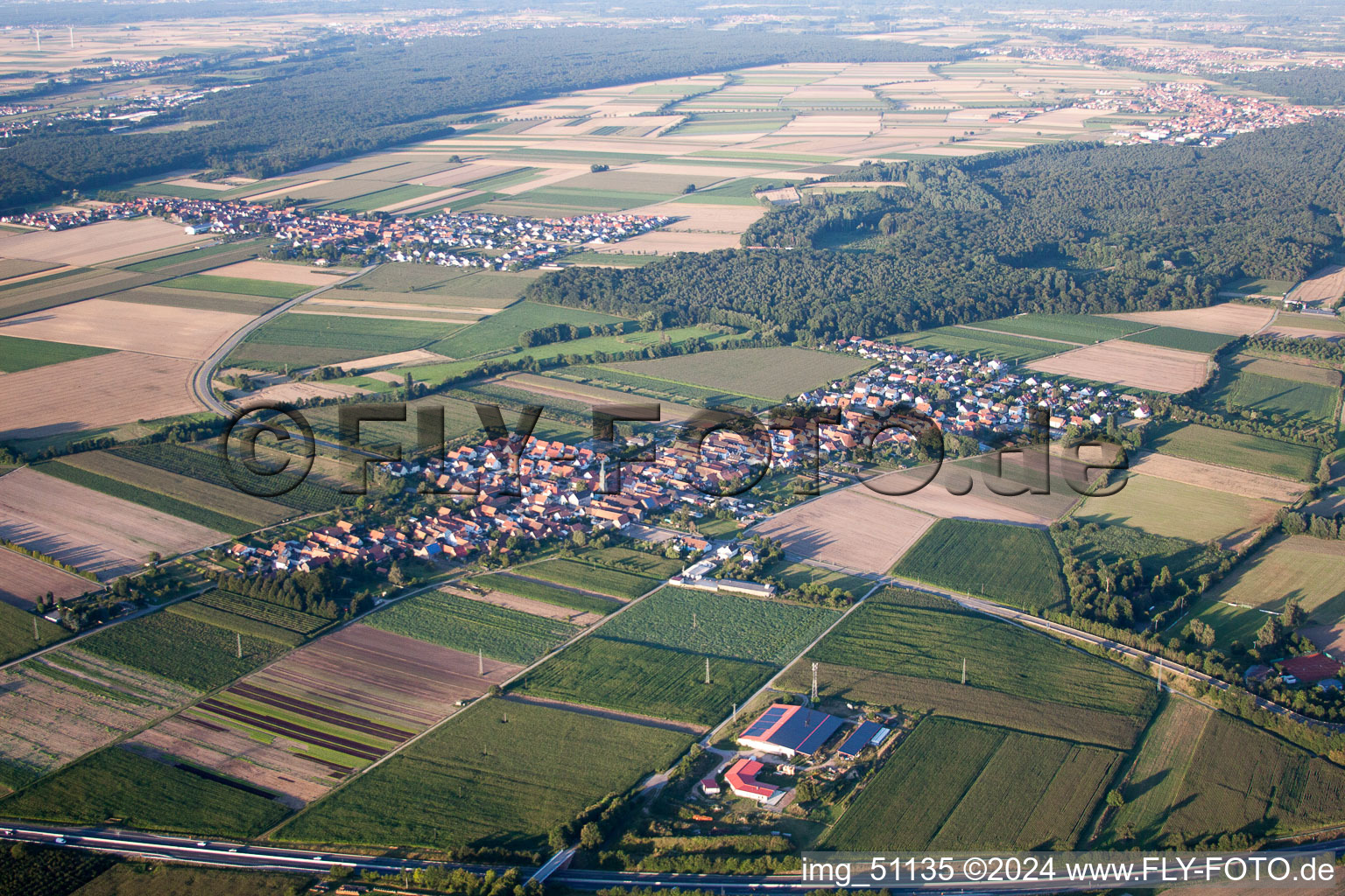 Vue aérienne de Du sud-est à Erlenbach bei Kandel dans le département Rhénanie-Palatinat, Allemagne