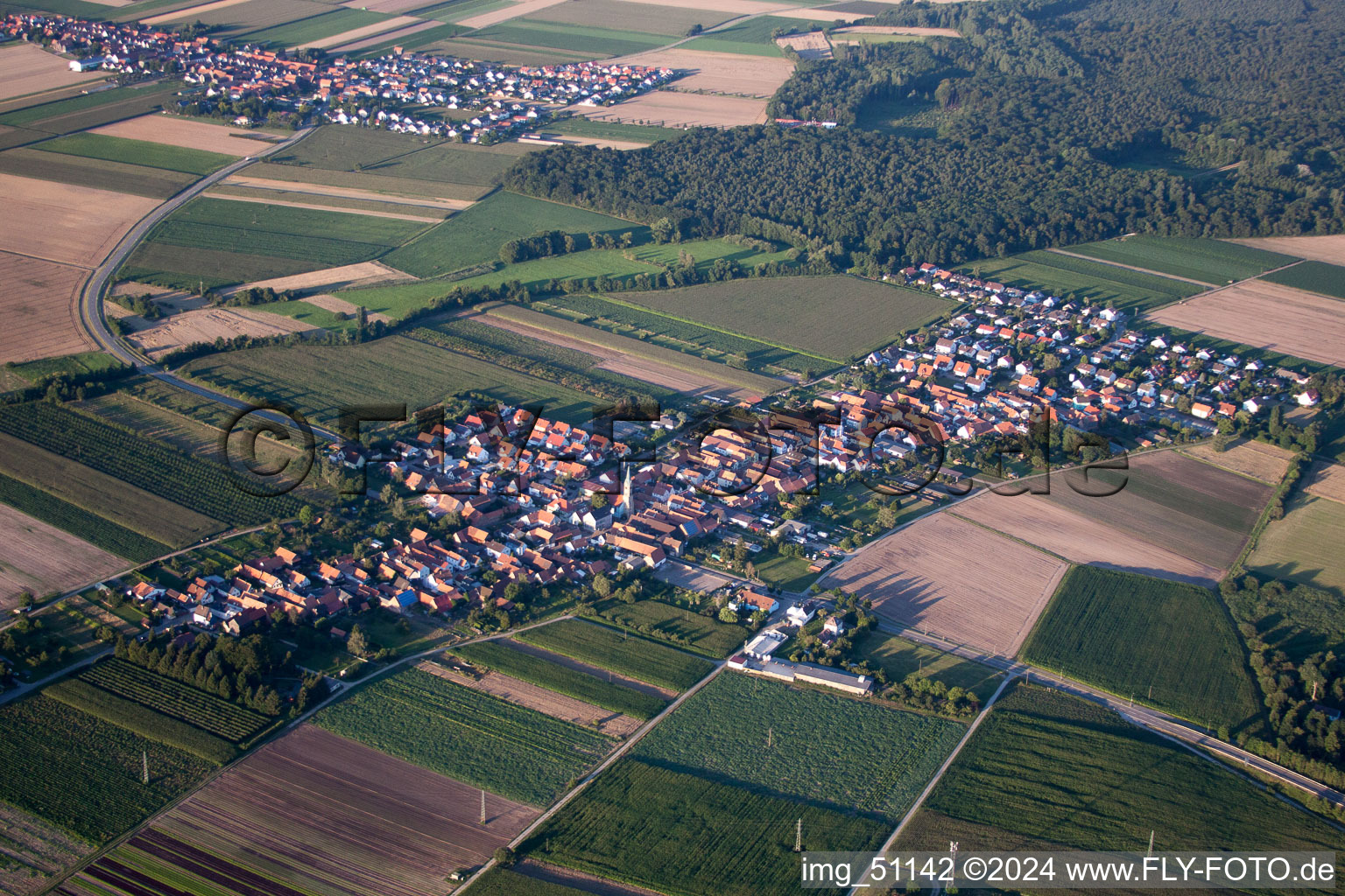 Vue aérienne de Du sud-est à Erlenbach bei Kandel dans le département Rhénanie-Palatinat, Allemagne