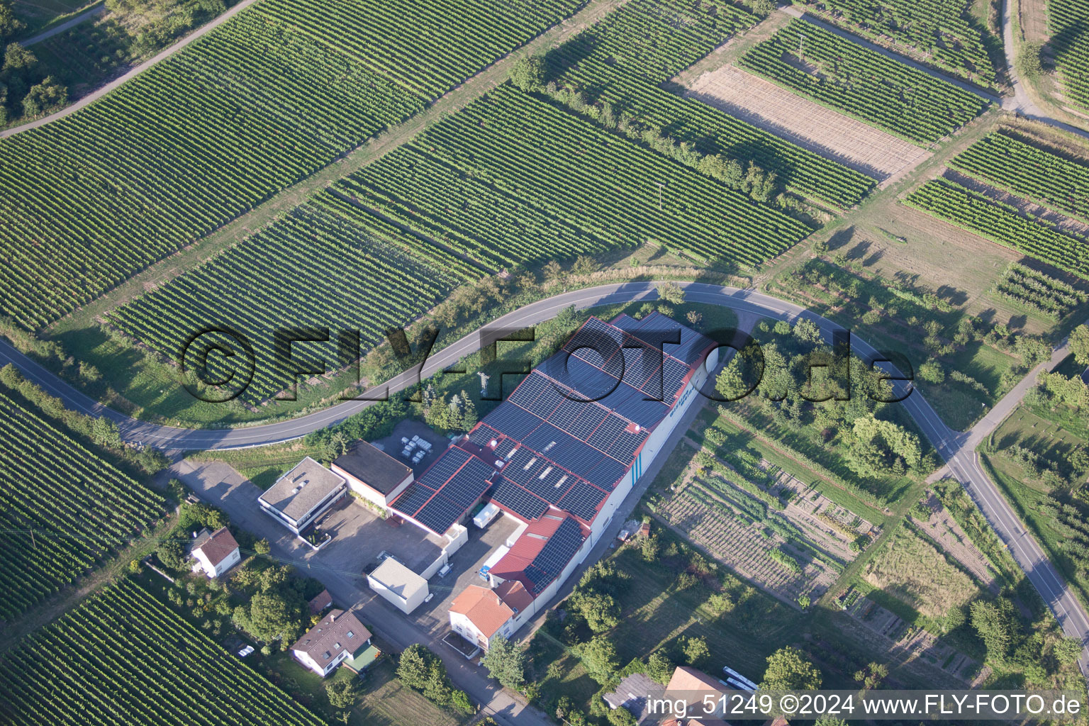 Vue aérienne de Les vins de Wissing à Oberotterbach dans le département Rhénanie-Palatinat, Allemagne