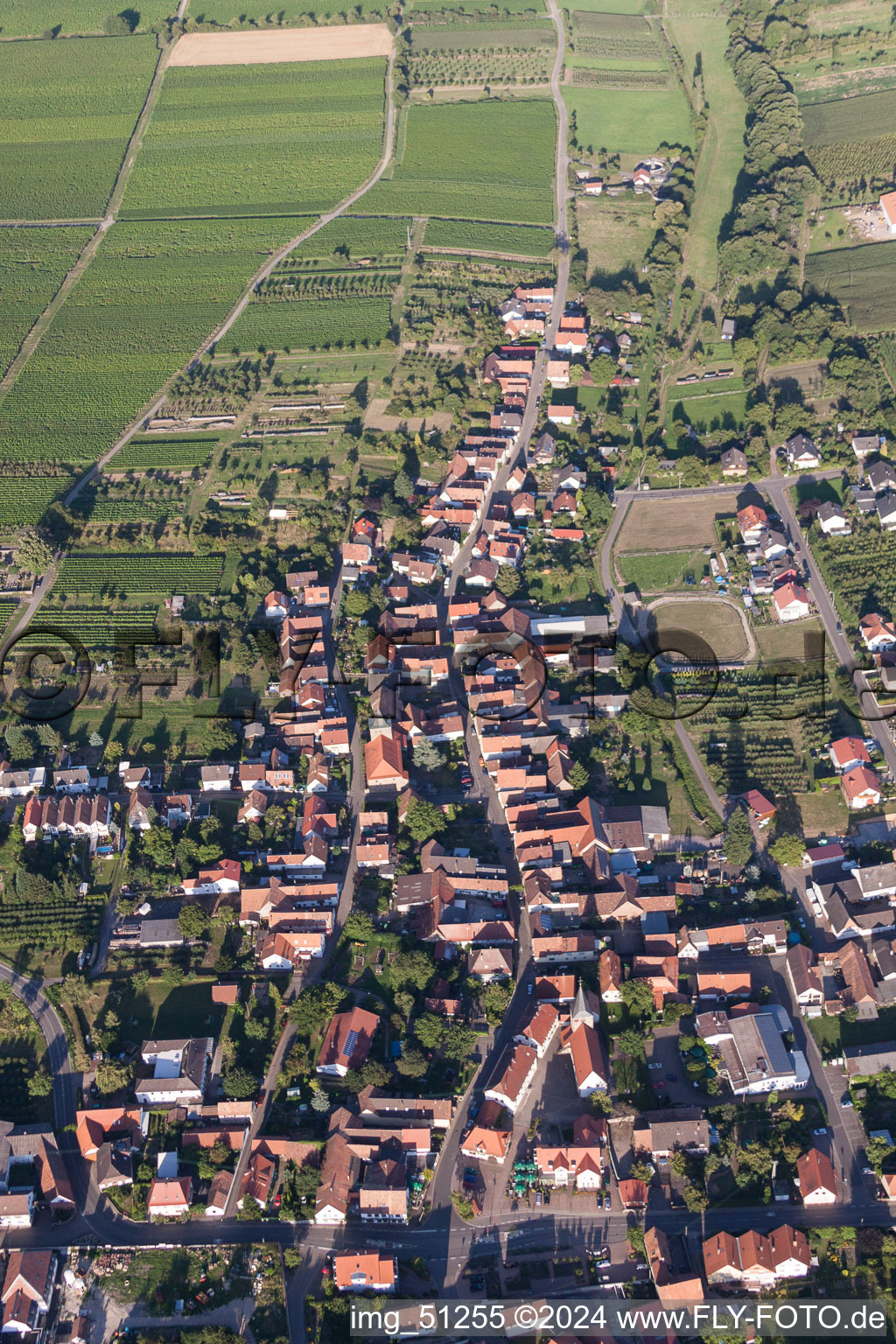 Vue oblique de Vue des rues et des maisons des quartiers résidentiels à Oberotterbach dans le département Rhénanie-Palatinat, Allemagne