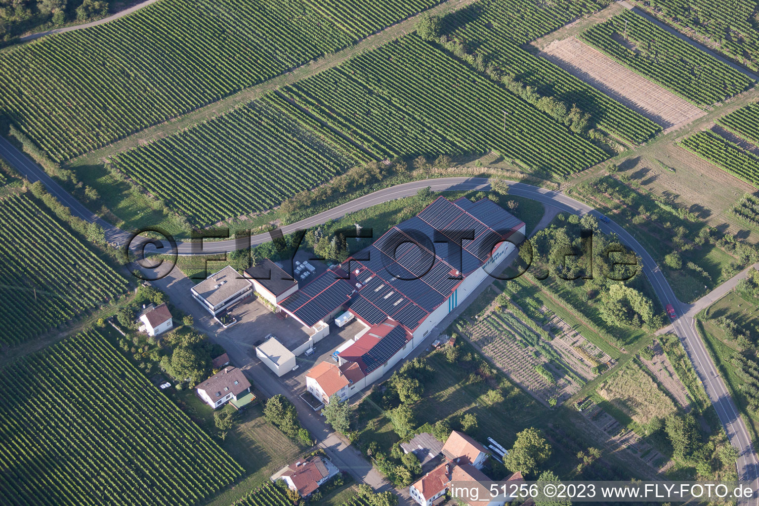Vue aérienne de Les vins de Wissing à Oberotterbach dans le département Rhénanie-Palatinat, Allemagne