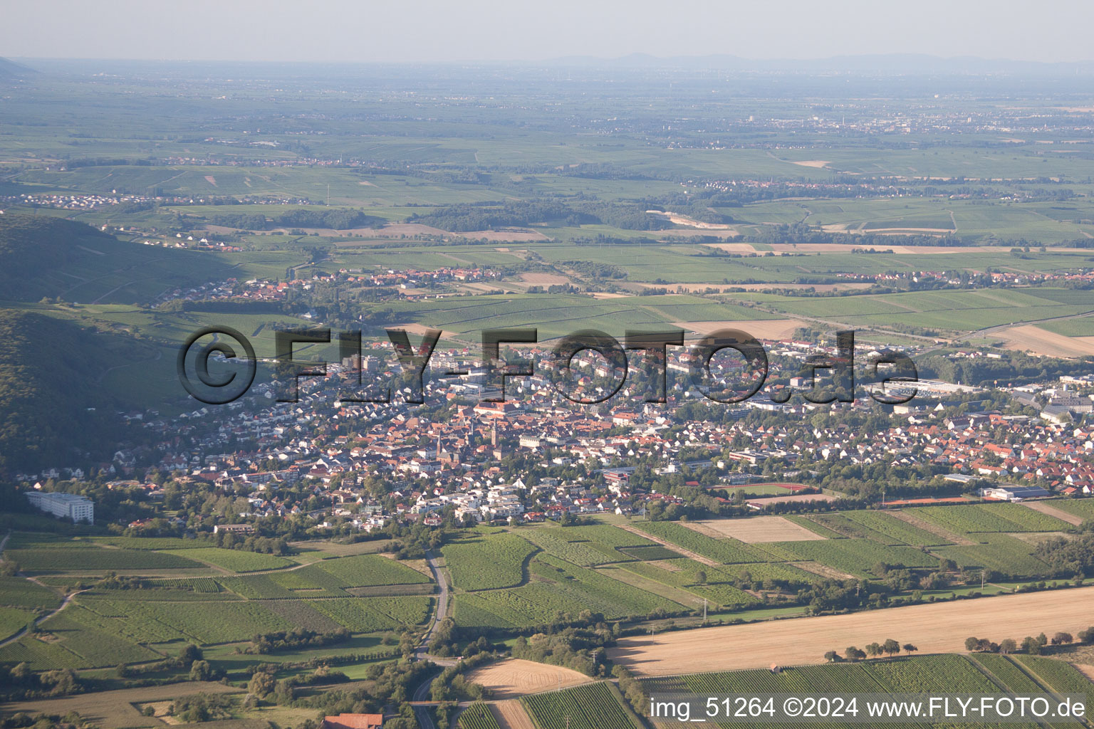 Bad Bergzabern dans le département Rhénanie-Palatinat, Allemagne du point de vue du drone