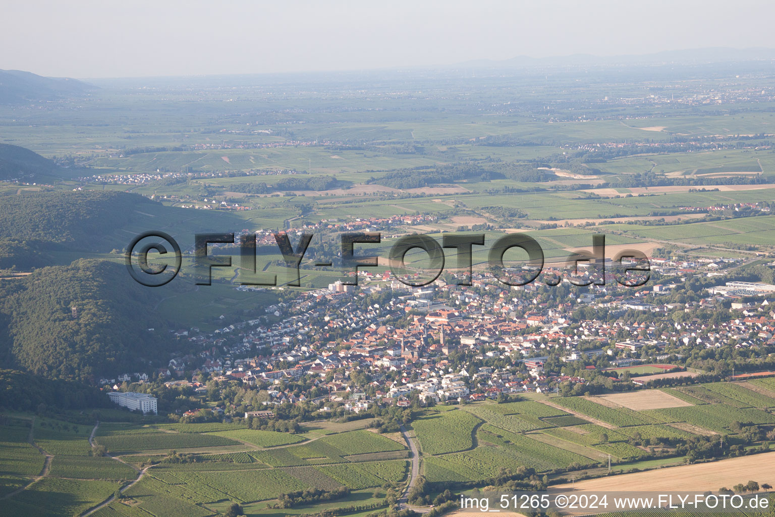 Bad Bergzabern dans le département Rhénanie-Palatinat, Allemagne du point de vue du drone