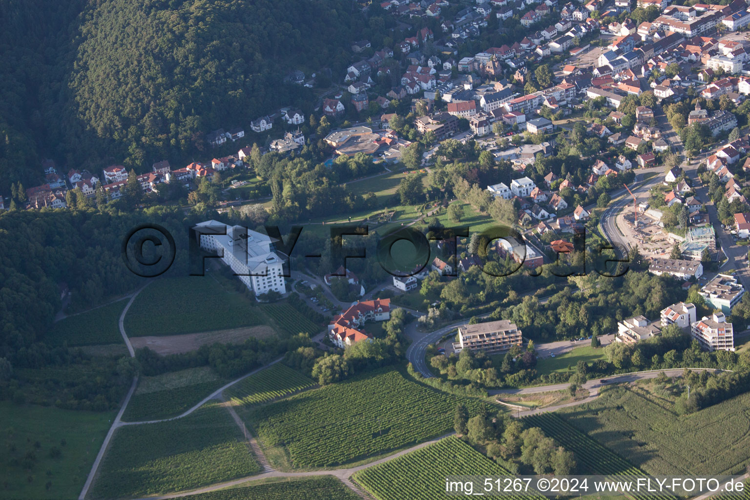 Bad Bergzabern dans le département Rhénanie-Palatinat, Allemagne vu d'un drone