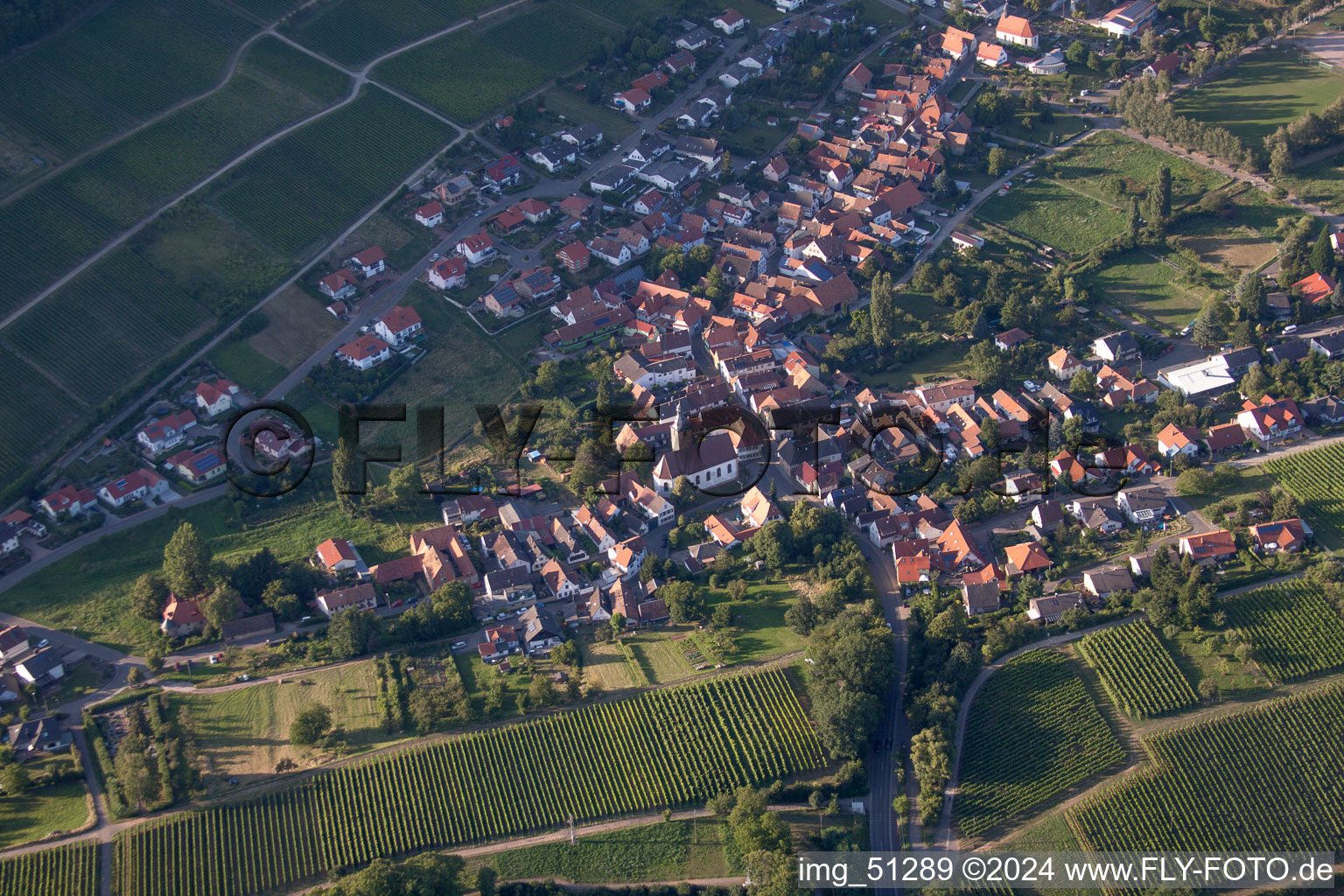 Vue aérienne de Vue des rues et des maisons des quartiers résidentiels à le quartier Pleisweiler in Pleisweiler-Oberhofen dans le département Rhénanie-Palatinat, Allemagne