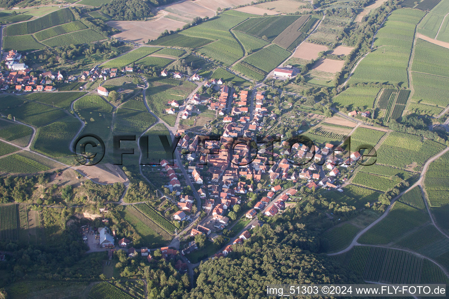 Quartier Gleishorbach in Gleiszellen-Gleishorbach dans le département Rhénanie-Palatinat, Allemagne du point de vue du drone