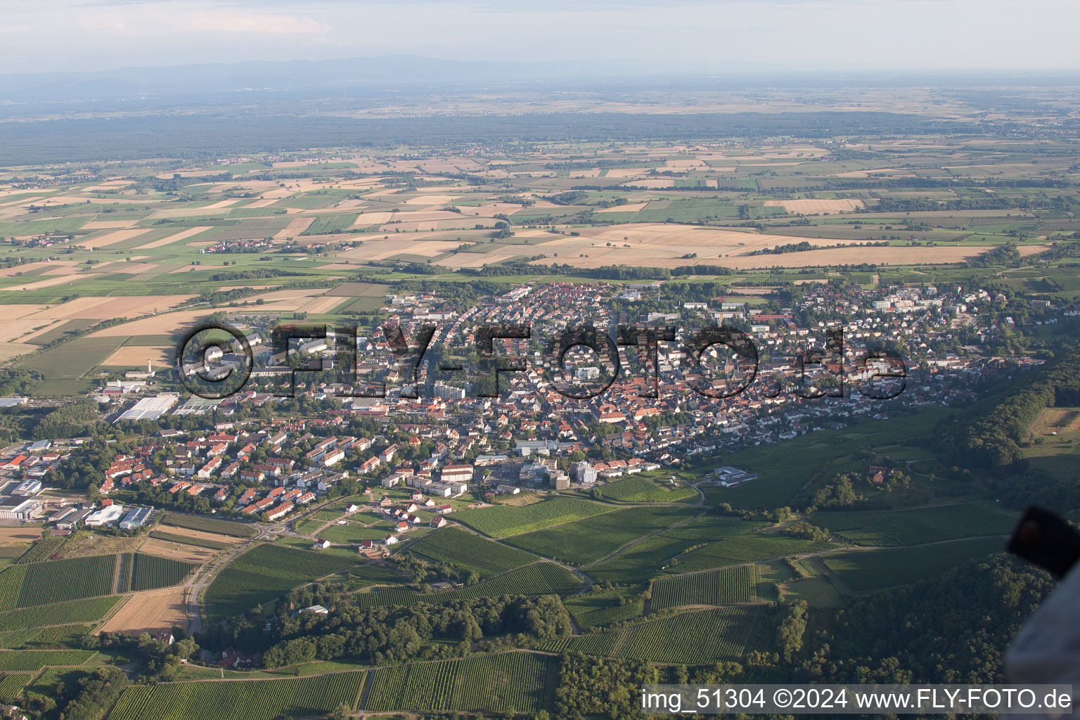 Bad Bergzabern dans le département Rhénanie-Palatinat, Allemagne du point de vue du drone