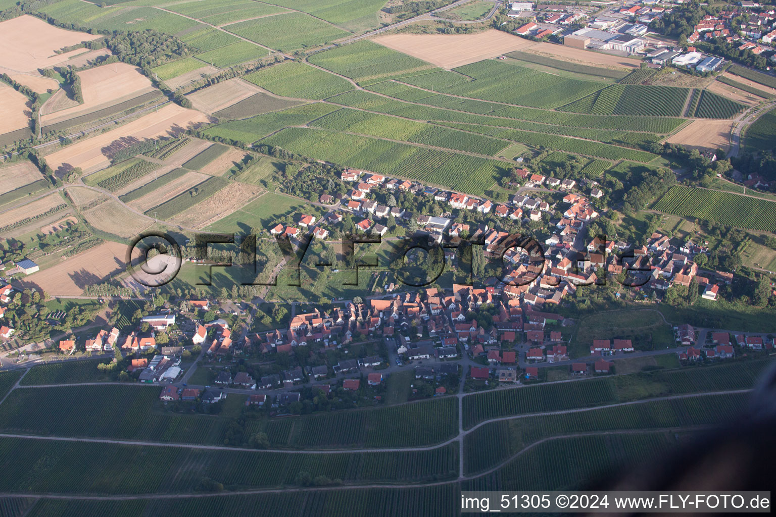 Image drone de Quartier Pleisweiler in Pleisweiler-Oberhofen dans le département Rhénanie-Palatinat, Allemagne