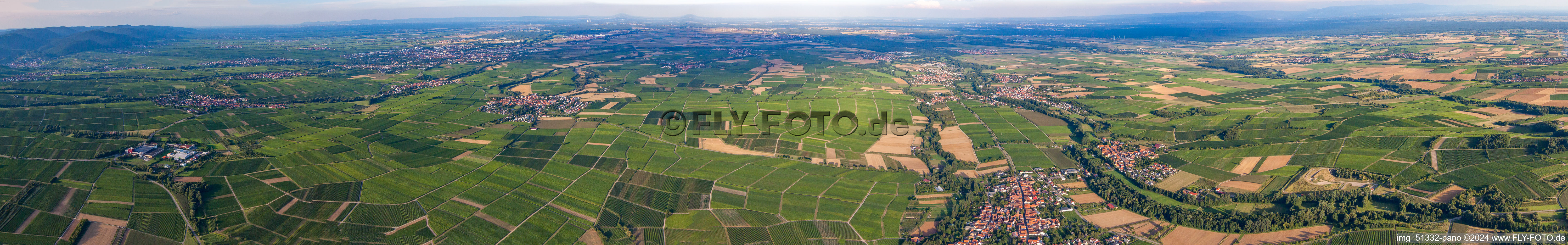 Vue aérienne de Panorama du paysage viticole des zones viticoles du Palatinat du Sud dans la plaine du Rhin près de Billigheim-Ingenheim à le quartier Klingen in Heuchelheim-Klingen dans le département Rhénanie-Palatinat, Allemagne