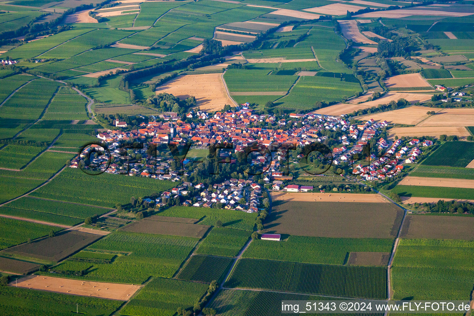 Photographie aérienne de Quartier Mörzheim in Landau in der Pfalz dans le département Rhénanie-Palatinat, Allemagne