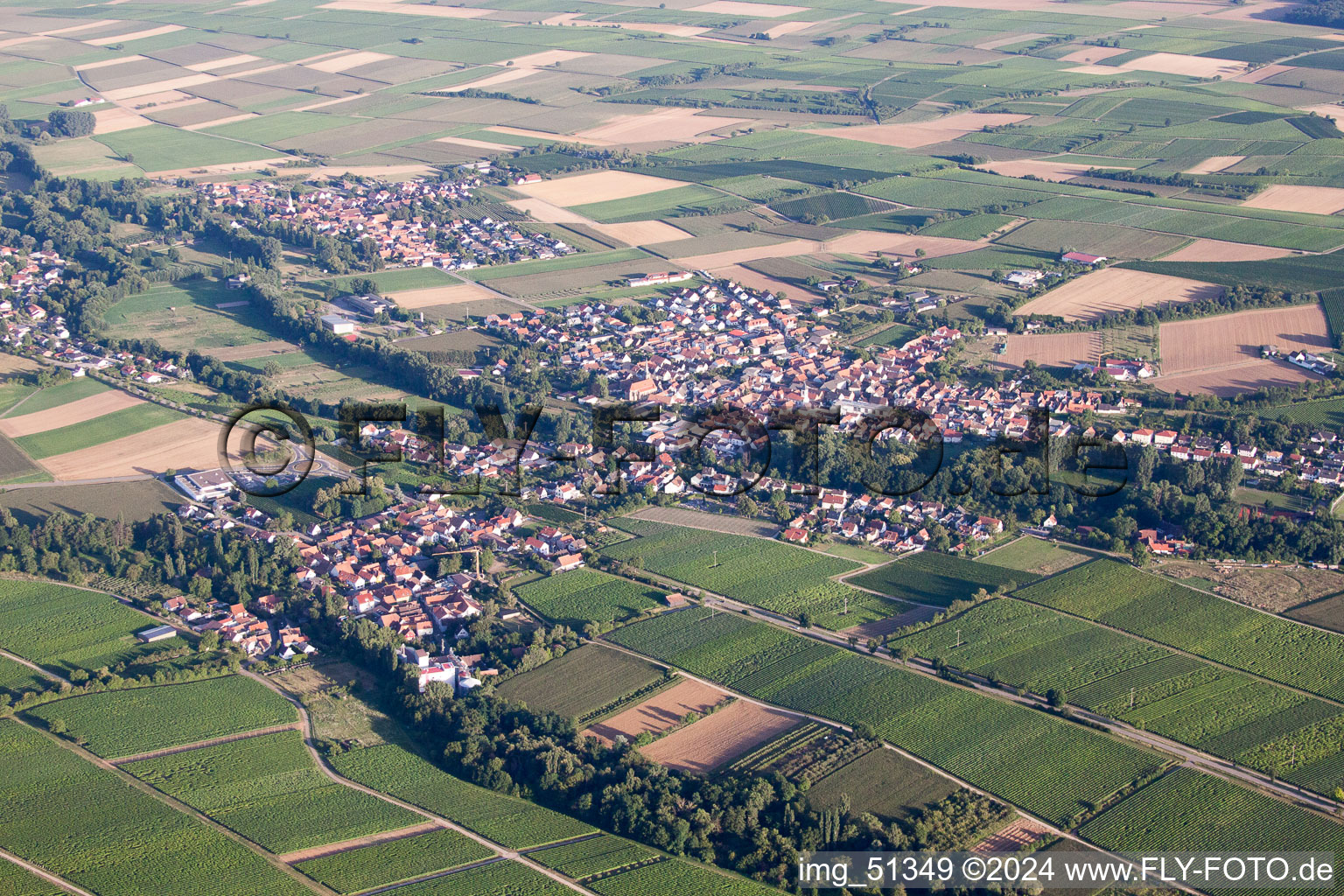 Photographie aérienne de Quartier Appenhofen in Billigheim-Ingenheim dans le département Rhénanie-Palatinat, Allemagne