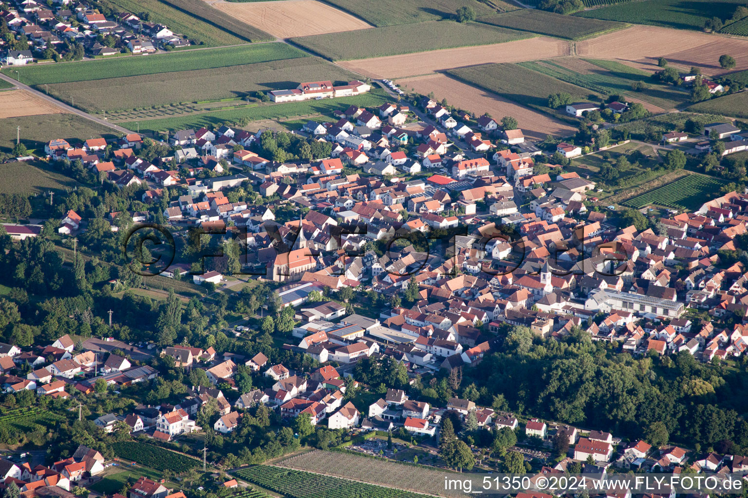 Vue oblique de Quartier Appenhofen in Billigheim-Ingenheim dans le département Rhénanie-Palatinat, Allemagne