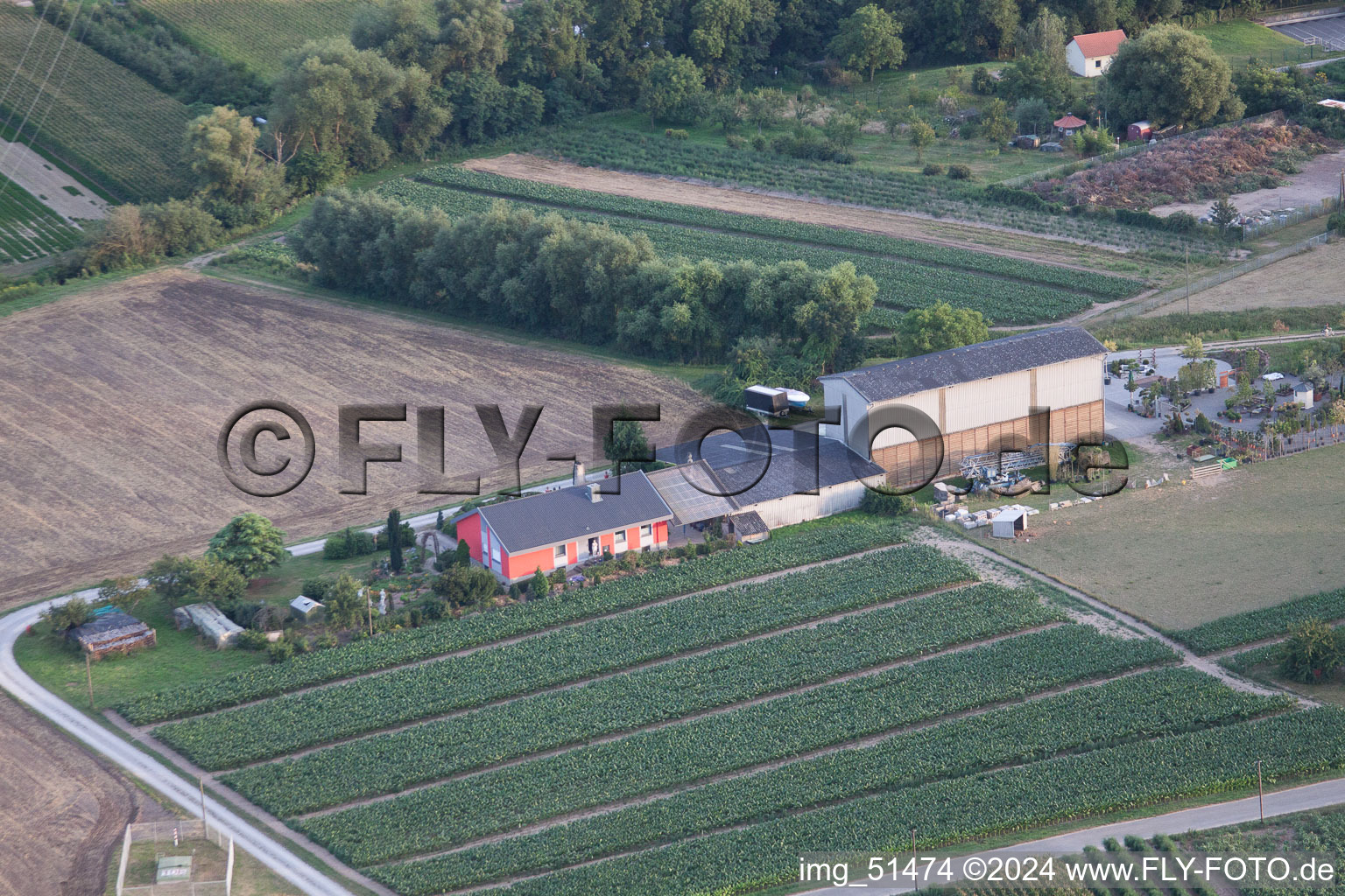 Rheinzabern dans le département Rhénanie-Palatinat, Allemagne vue d'en haut