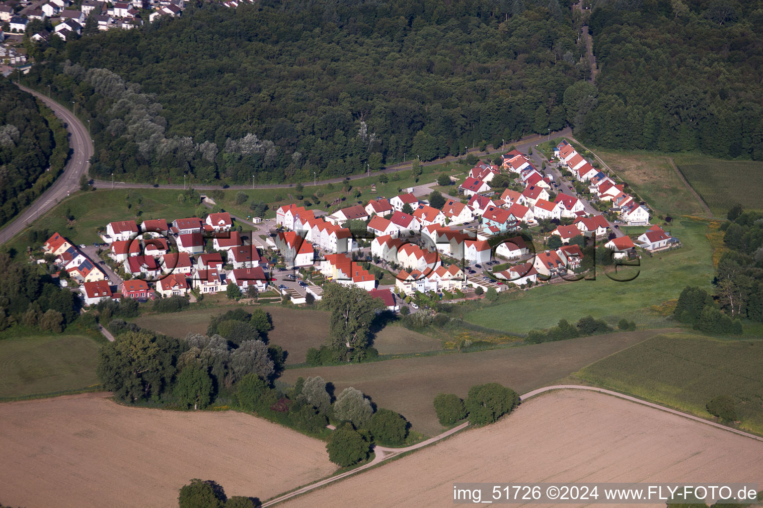 Wörth am Rhein dans le département Rhénanie-Palatinat, Allemagne vue du ciel