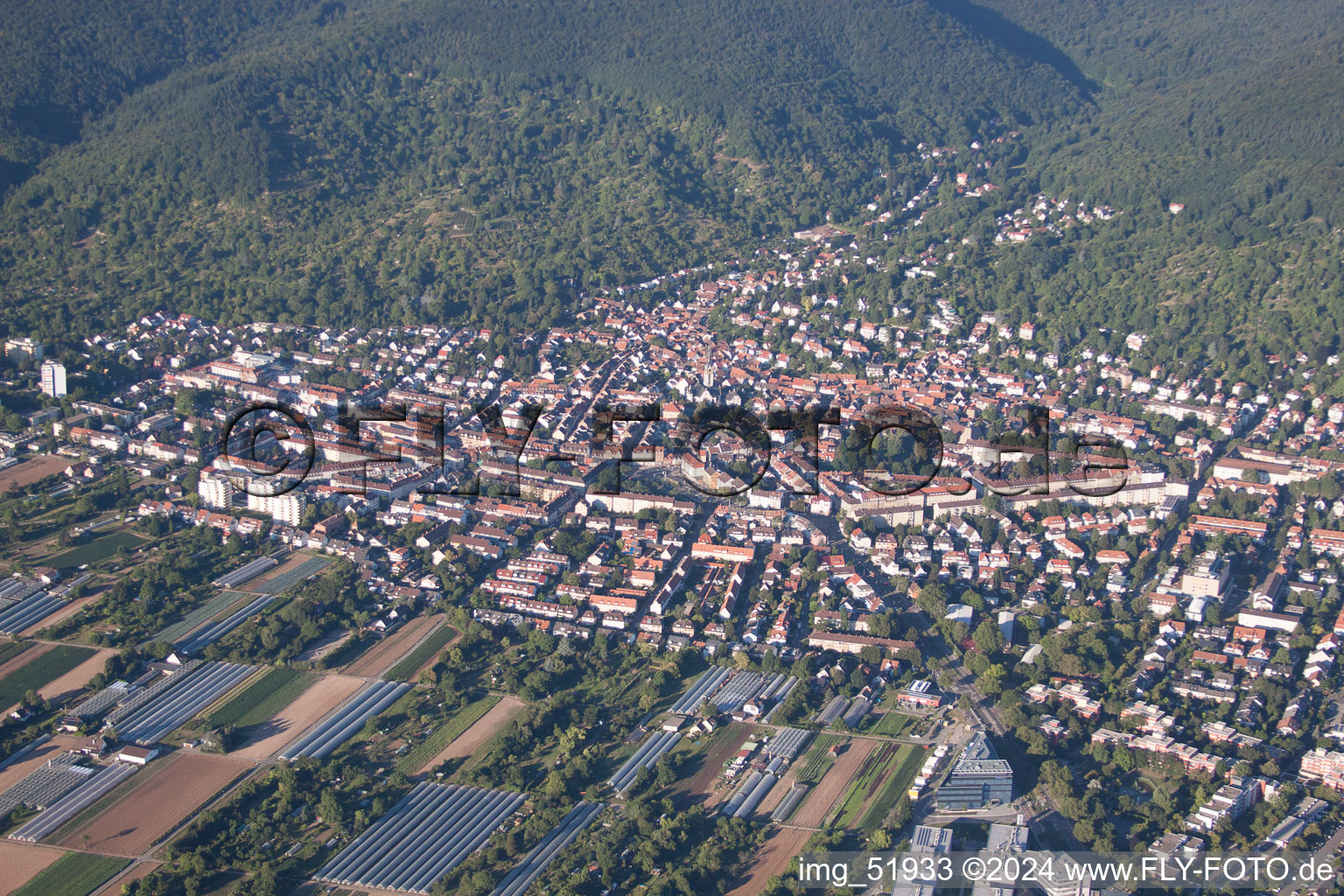 Vue aérienne de Quartier Handschuhsheim in Heidelberg dans le département Bade-Wurtemberg, Allemagne