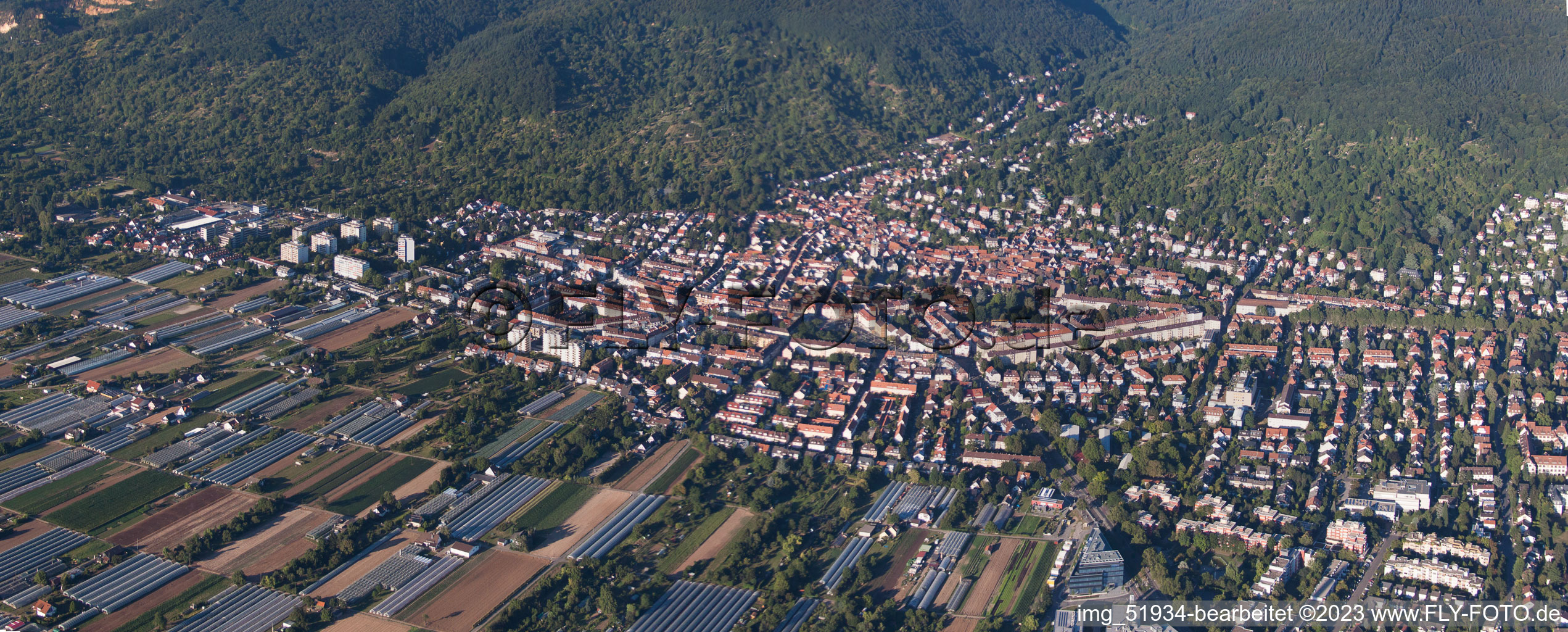 Photographie aérienne de Quartier Handschuhsheim in Heidelberg dans le département Bade-Wurtemberg, Allemagne