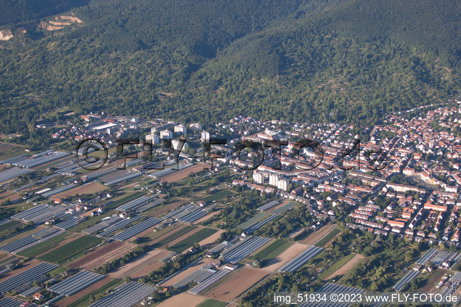 Vue oblique de Quartier Handschuhsheim in Heidelberg dans le département Bade-Wurtemberg, Allemagne