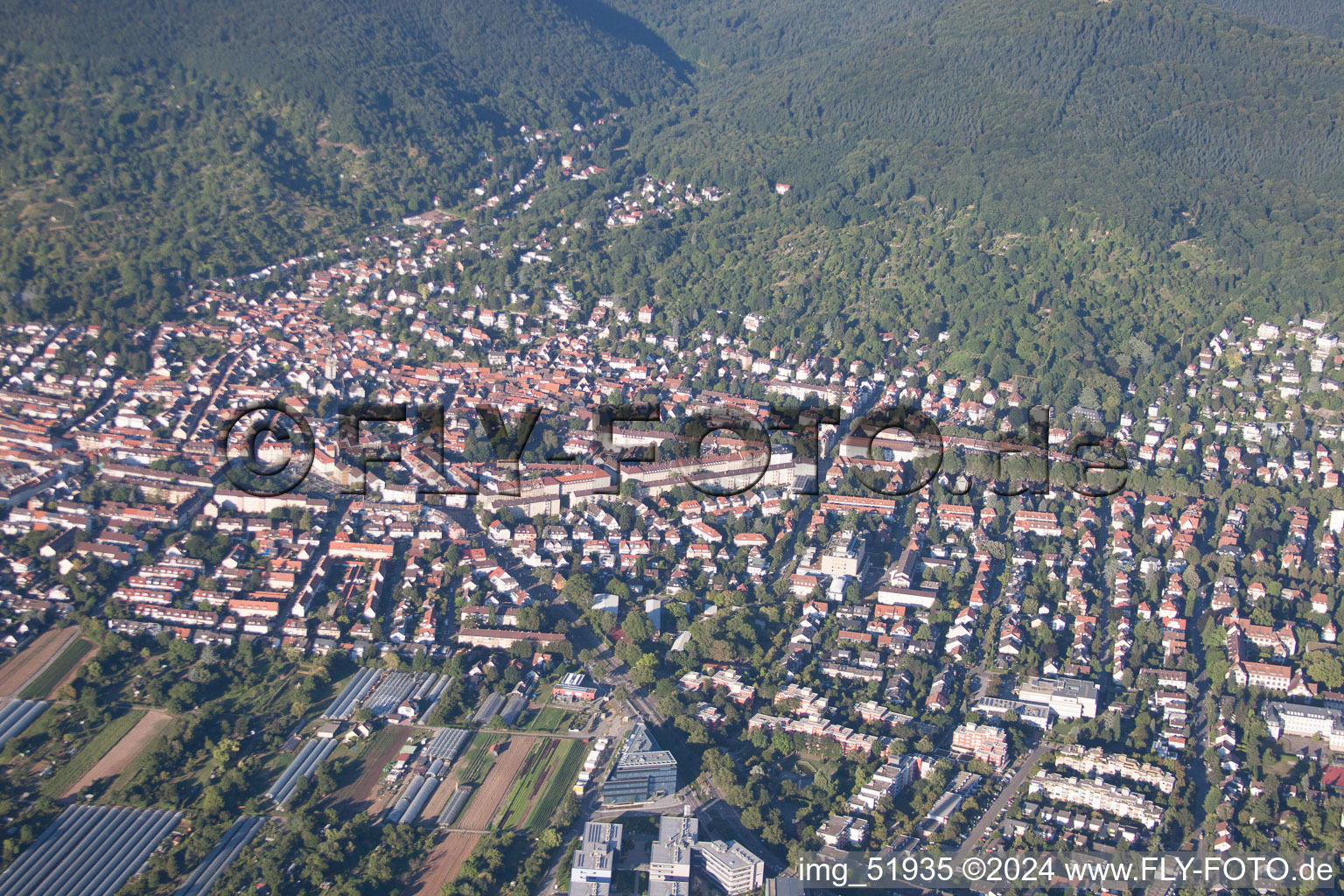 Quartier Handschuhsheim in Heidelberg dans le département Bade-Wurtemberg, Allemagne d'en haut