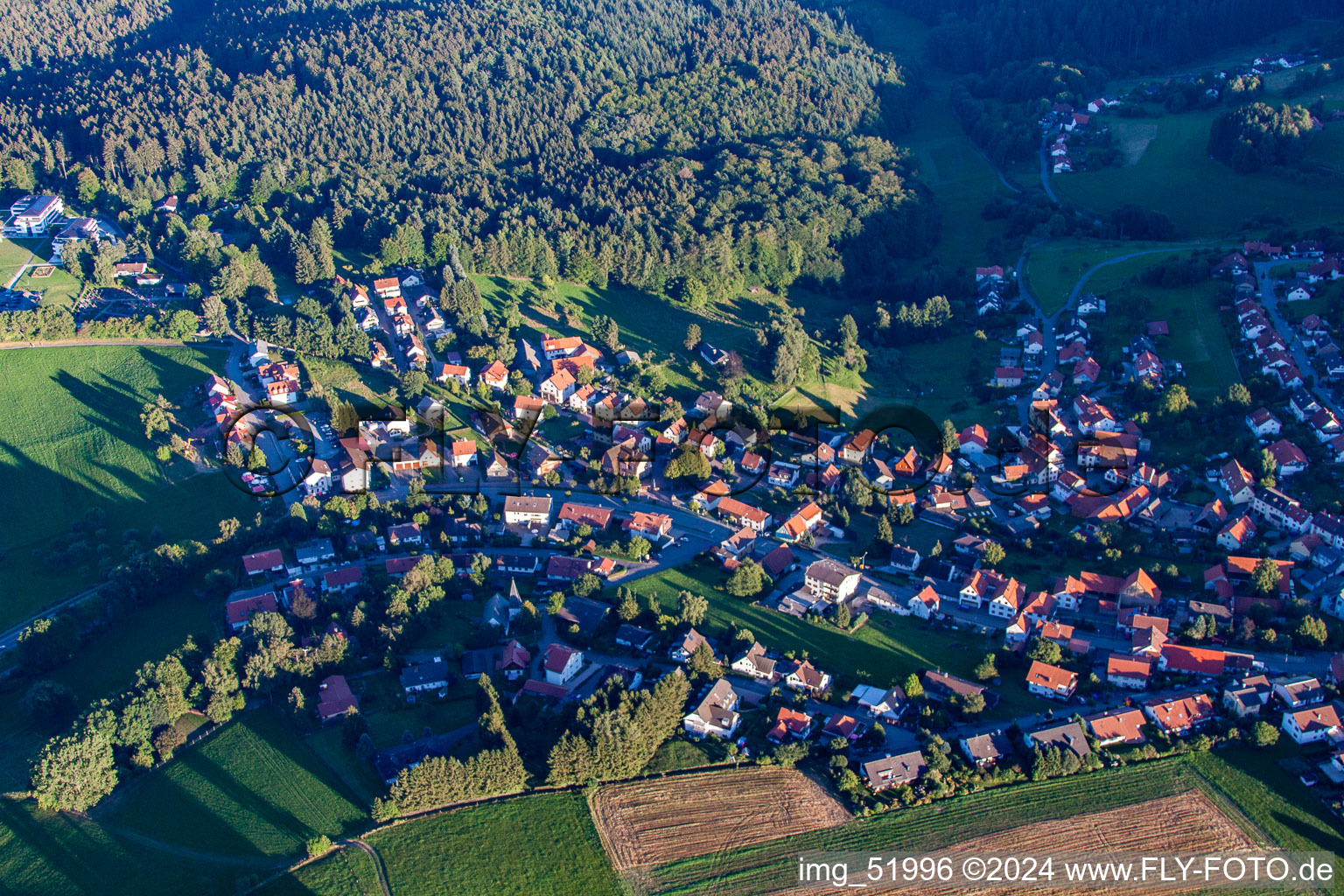 Photographie aérienne de Quartier Siedelsbrunn in Wald-Michelbach dans le département Hesse, Allemagne