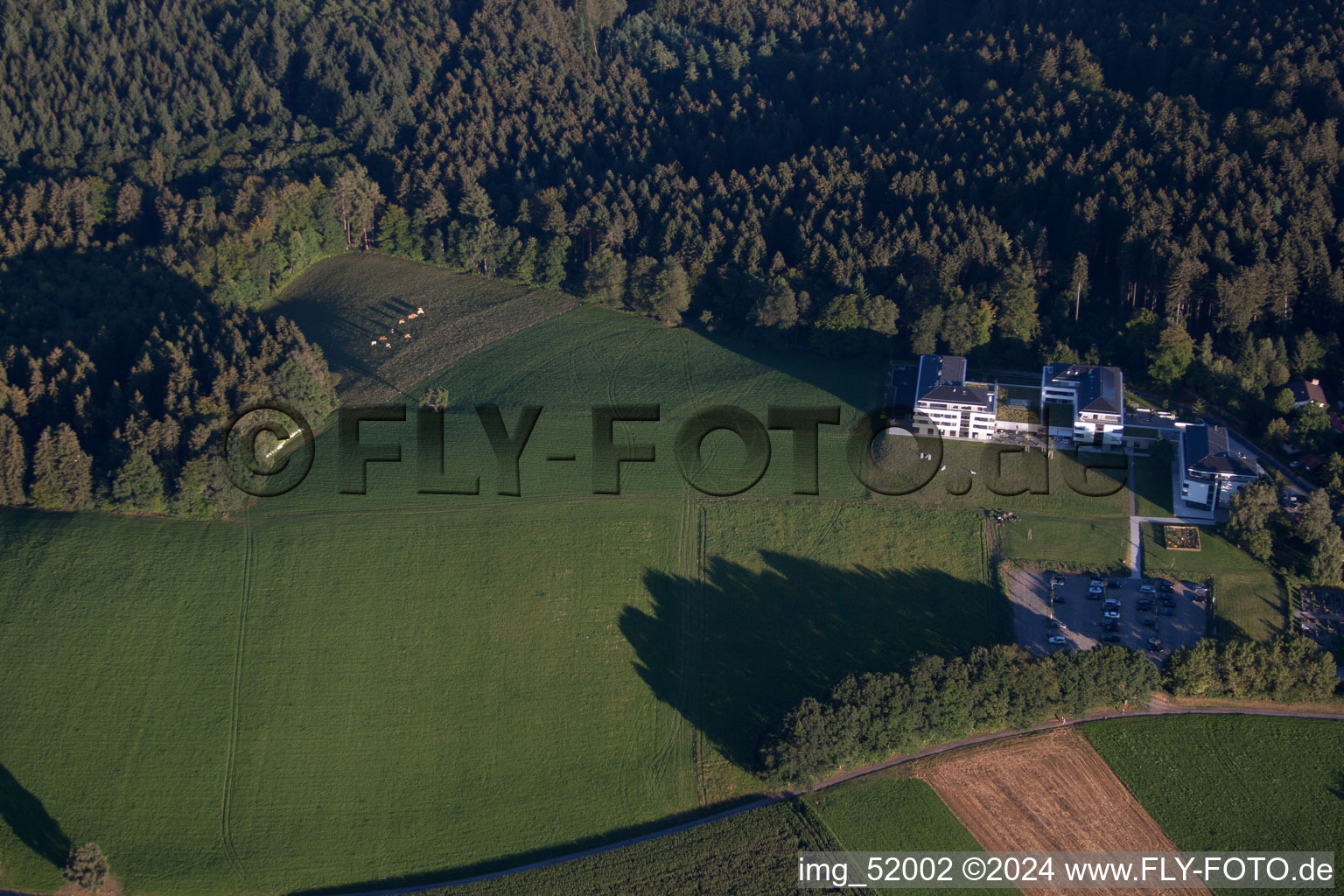 Photographie aérienne de Clinique sysTelios à le quartier Siedelsbrunn in Wald-Michelbach dans le département Hesse, Allemagne