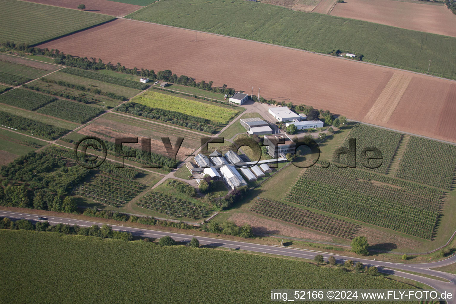 Image drone de Dossenheim dans le département Bade-Wurtemberg, Allemagne