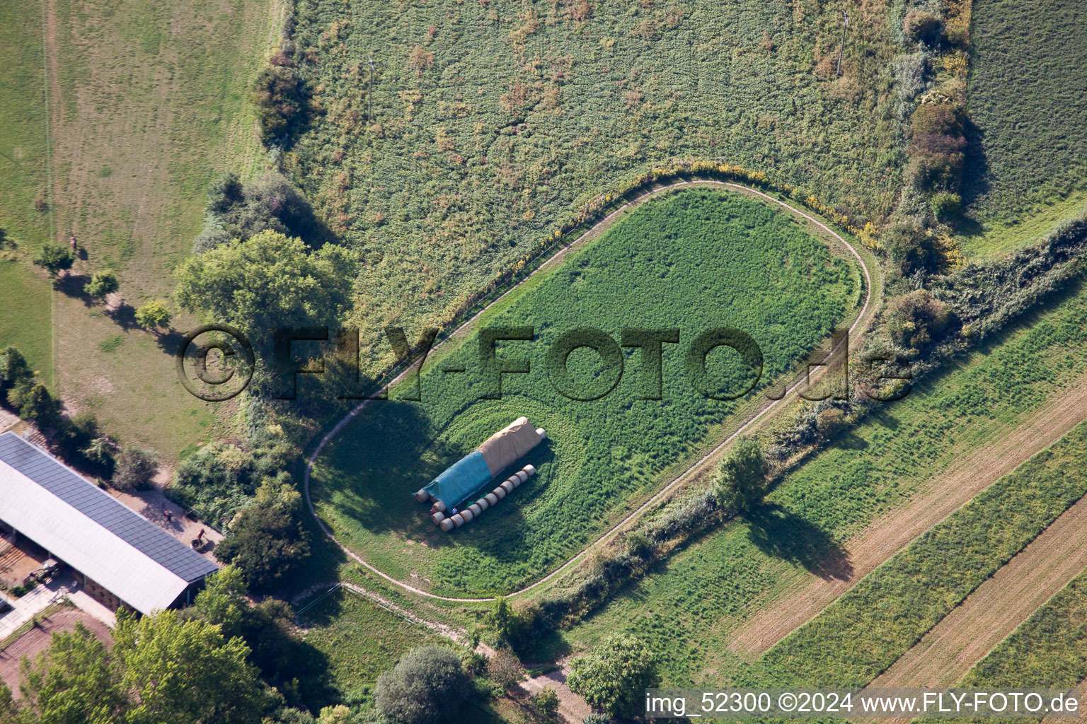 Image drone de Germersheim dans le département Rhénanie-Palatinat, Allemagne