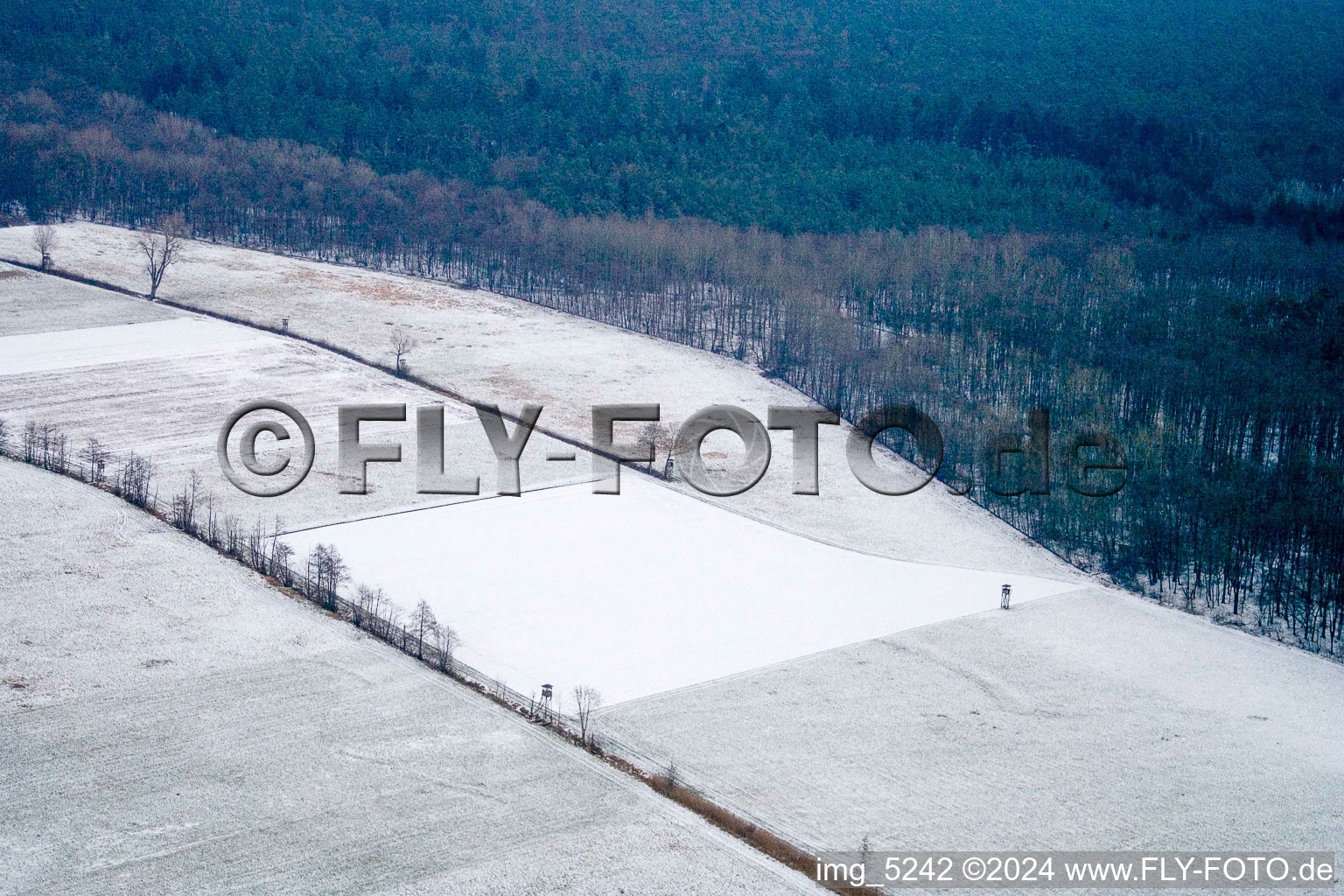 Vue aérienne de Oberotterbachtal à Minfeld dans le département Rhénanie-Palatinat, Allemagne