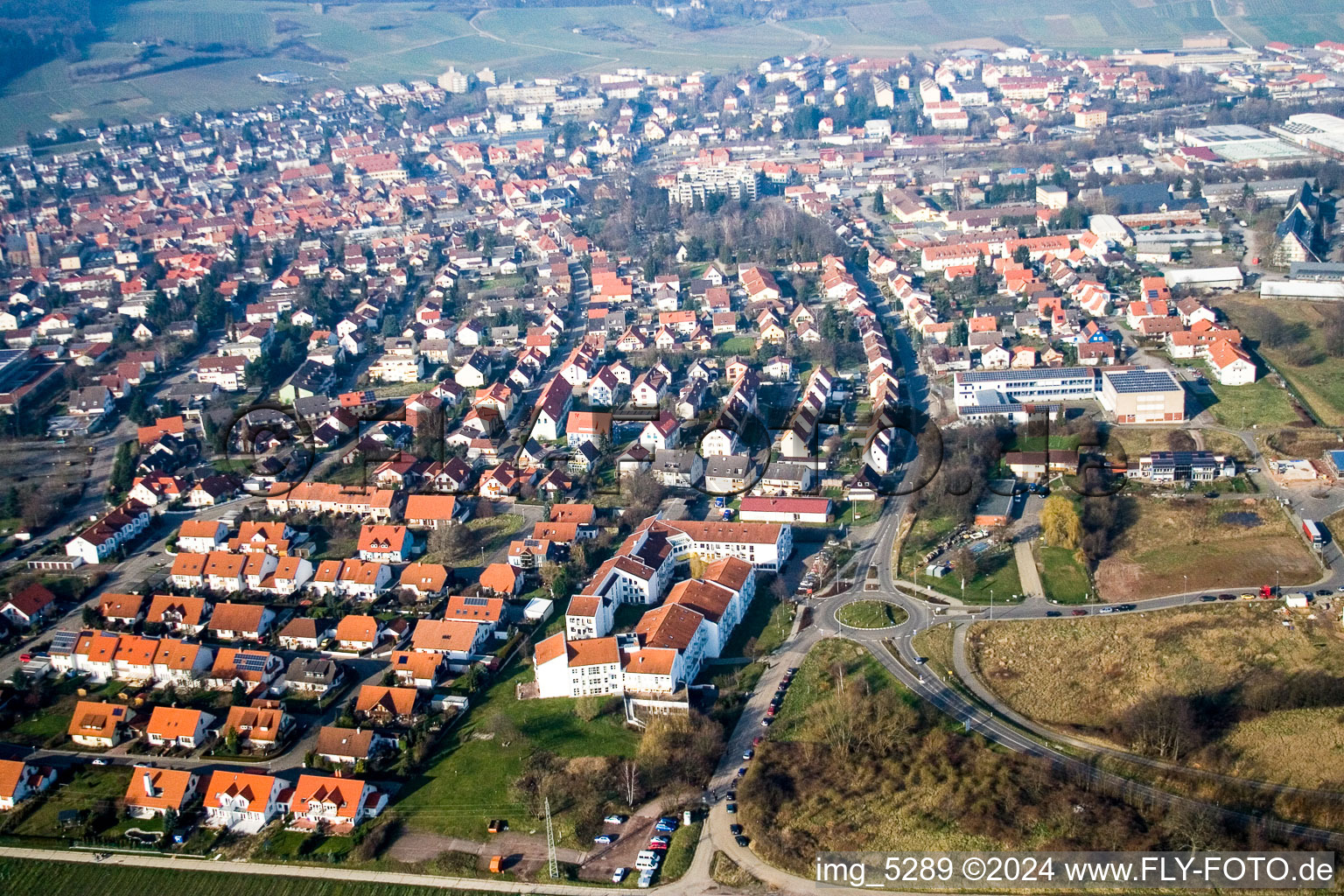 Vue aérienne de Steinfelderstr à Bad Bergzabern dans le département Rhénanie-Palatinat, Allemagne