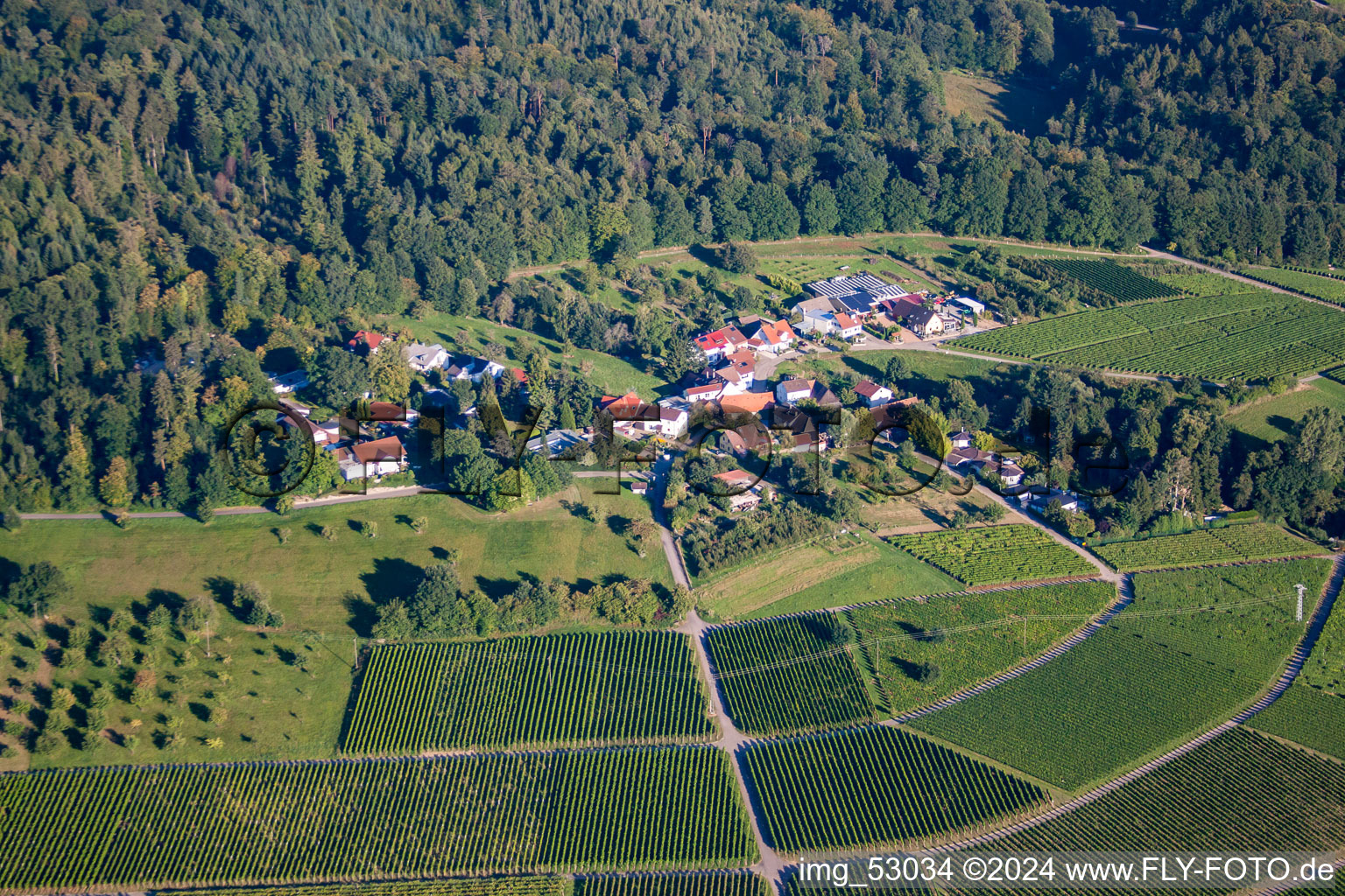 Vue aérienne de Domaine viticole Kopp à le quartier Ebenung in Sinzheim dans le département Bade-Wurtemberg, Allemagne