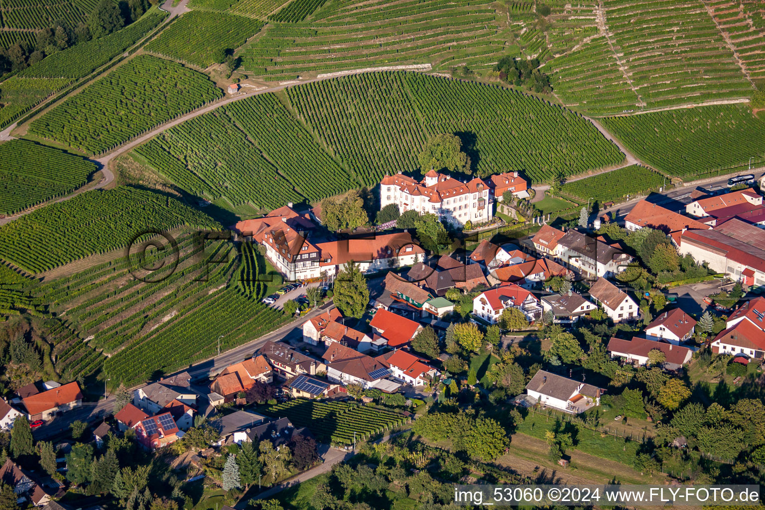 Château de Neuweir à le quartier Neuweier in Baden-Baden dans le département Bade-Wurtemberg, Allemagne d'en haut