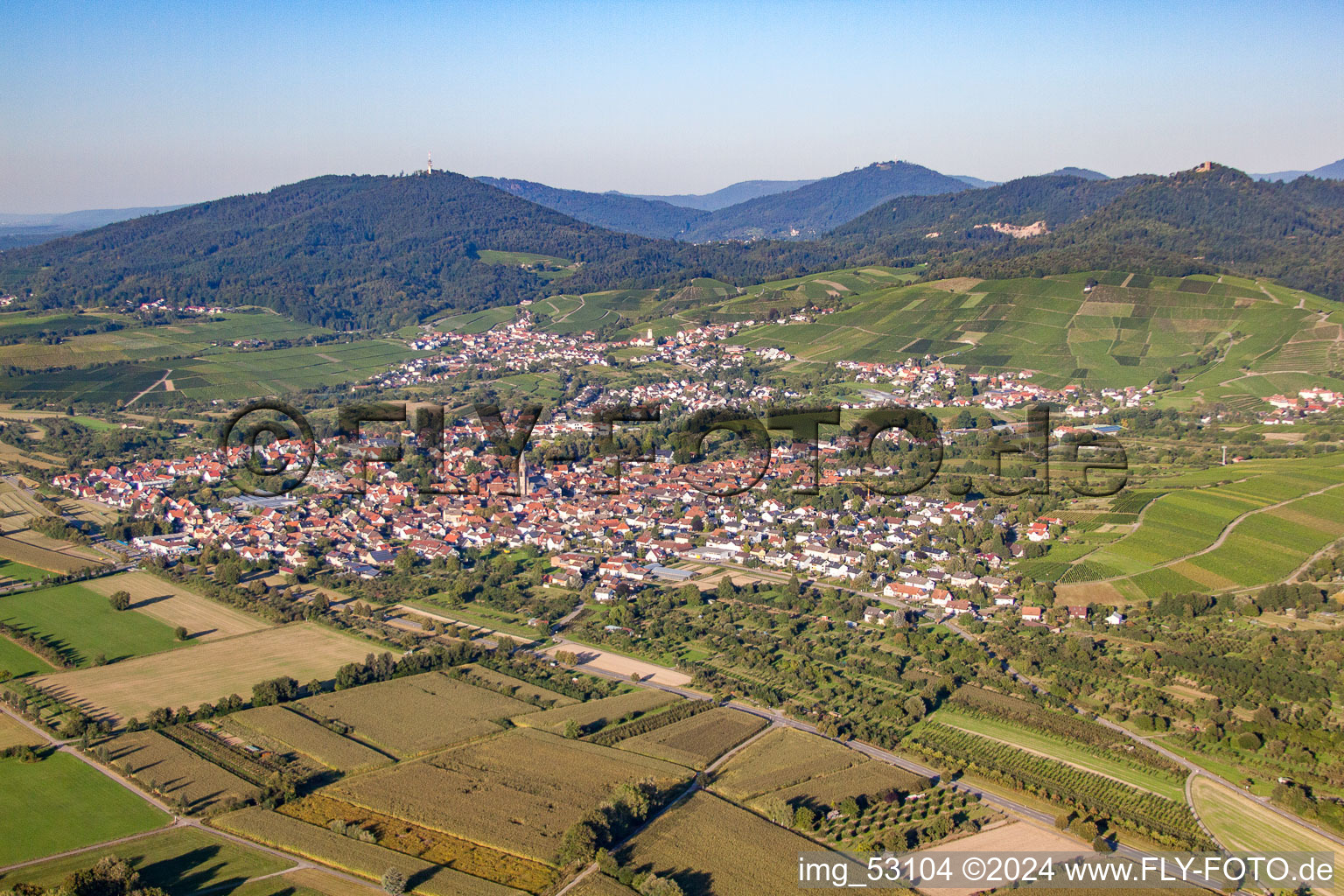 Vue aérienne de Du sud-ouest à le quartier Steinbach in Baden-Baden dans le département Bade-Wurtemberg, Allemagne