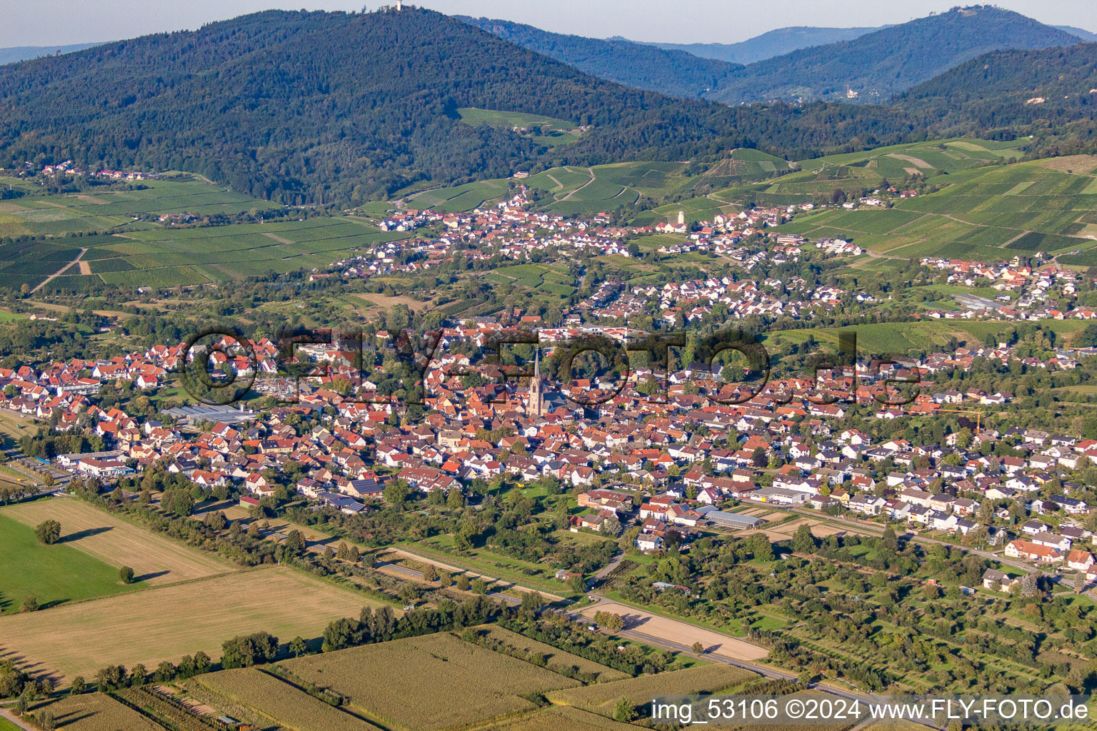 Quartier Steinbach in Baden-Baden dans le département Bade-Wurtemberg, Allemagne vue du ciel