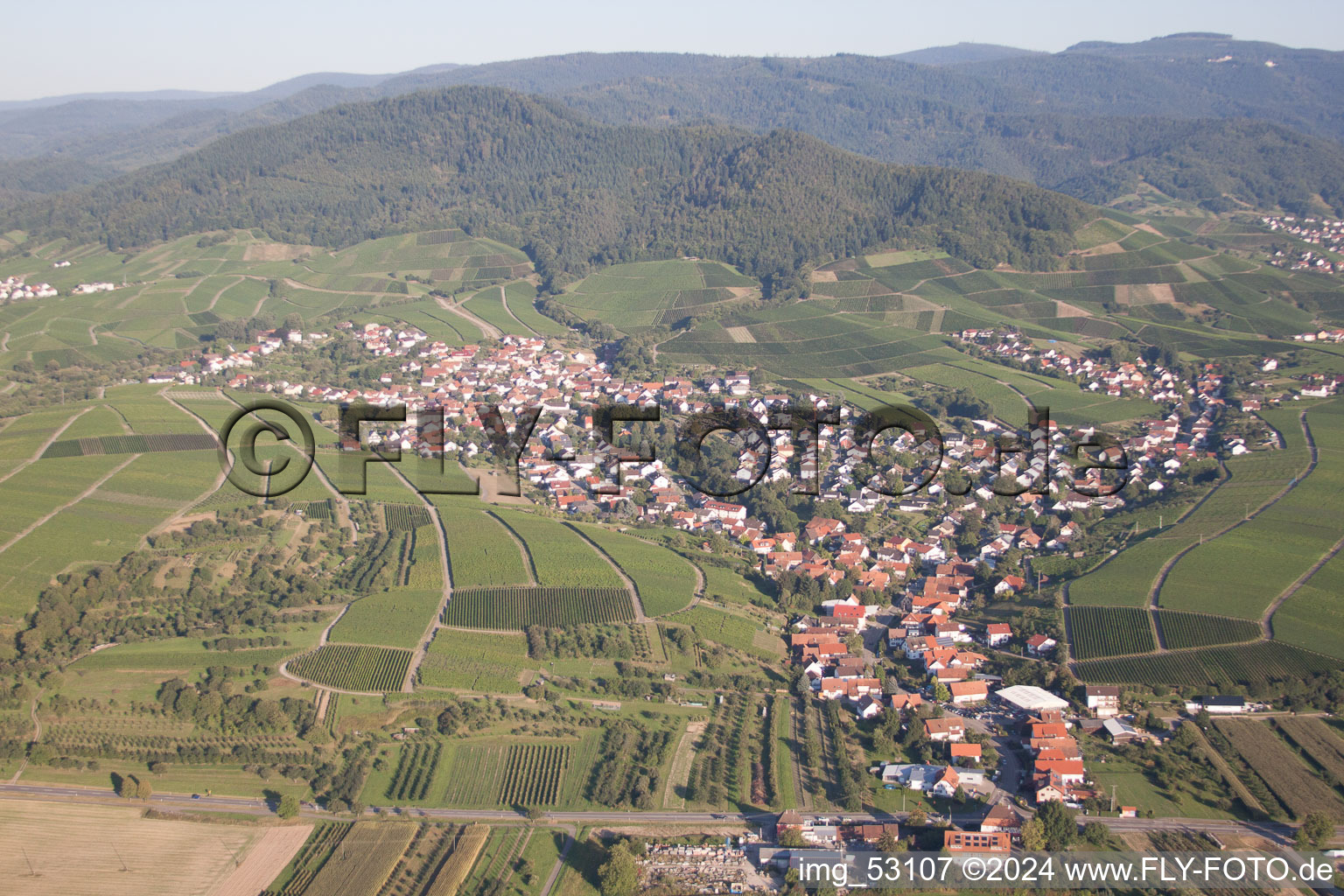 Vue d'oiseau de Quartier Eisental in Bühl dans le département Bade-Wurtemberg, Allemagne