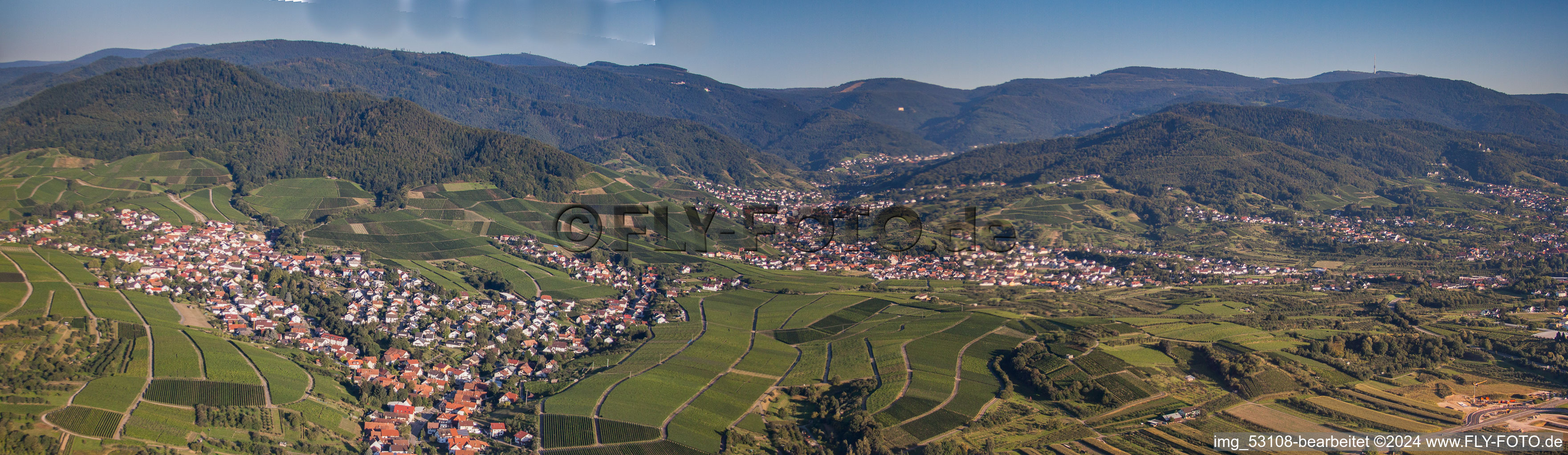 Vue aérienne de Perspective panoramique des vignobles et de la Forêt-Noire à le quartier Altschweier in Bühl dans le département Bade-Wurtemberg, Allemagne