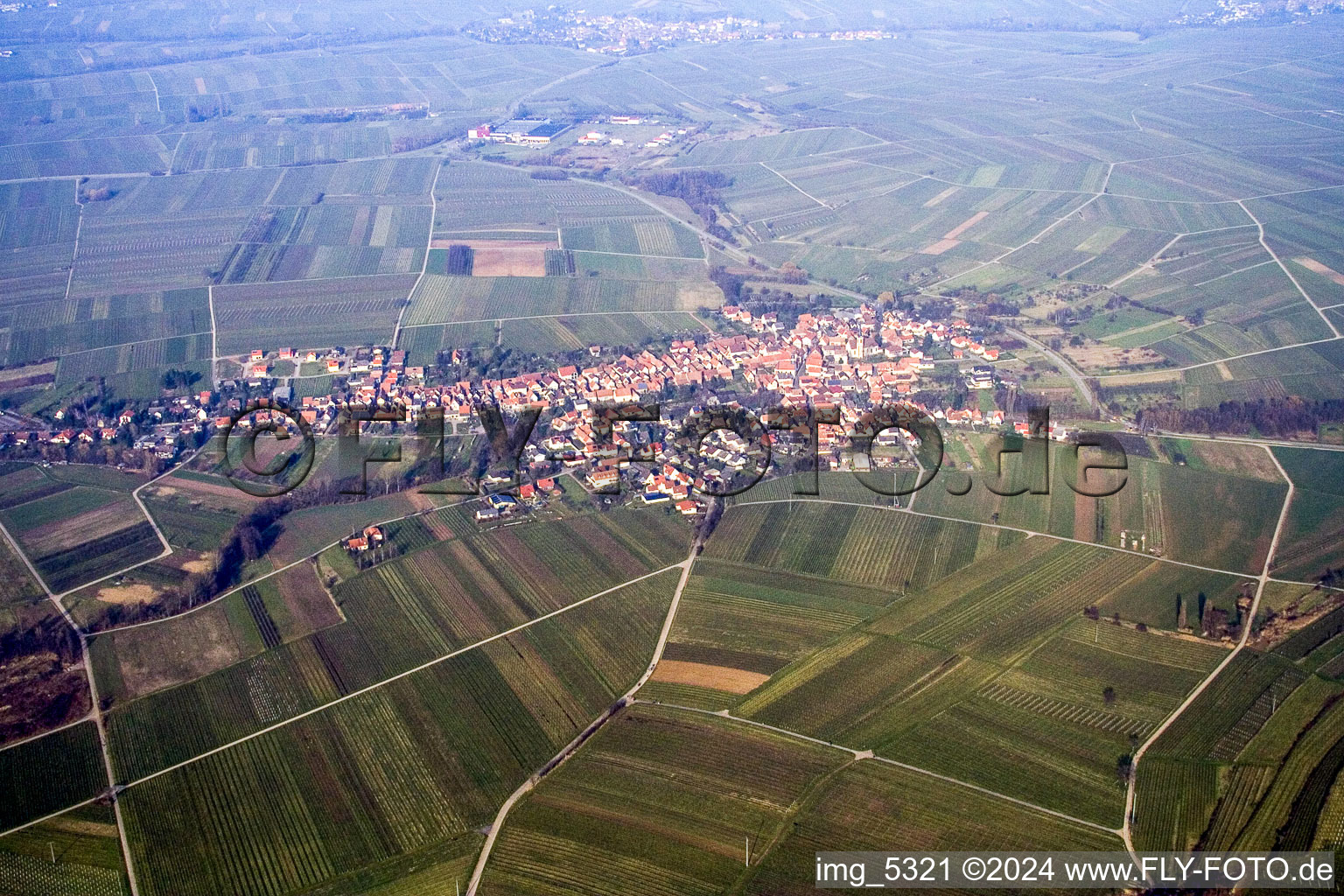 Vue aérienne de Du sud à Göcklingen dans le département Rhénanie-Palatinat, Allemagne