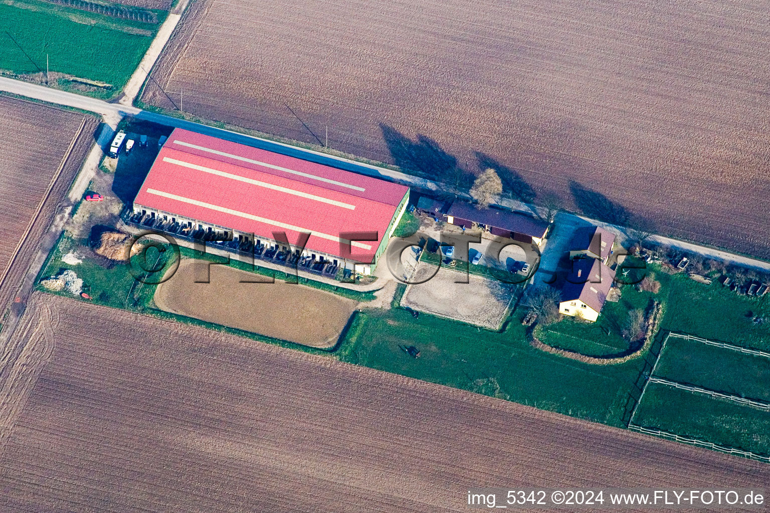 Vue aérienne de Ferme de poneys à Steinweiler dans le département Rhénanie-Palatinat, Allemagne