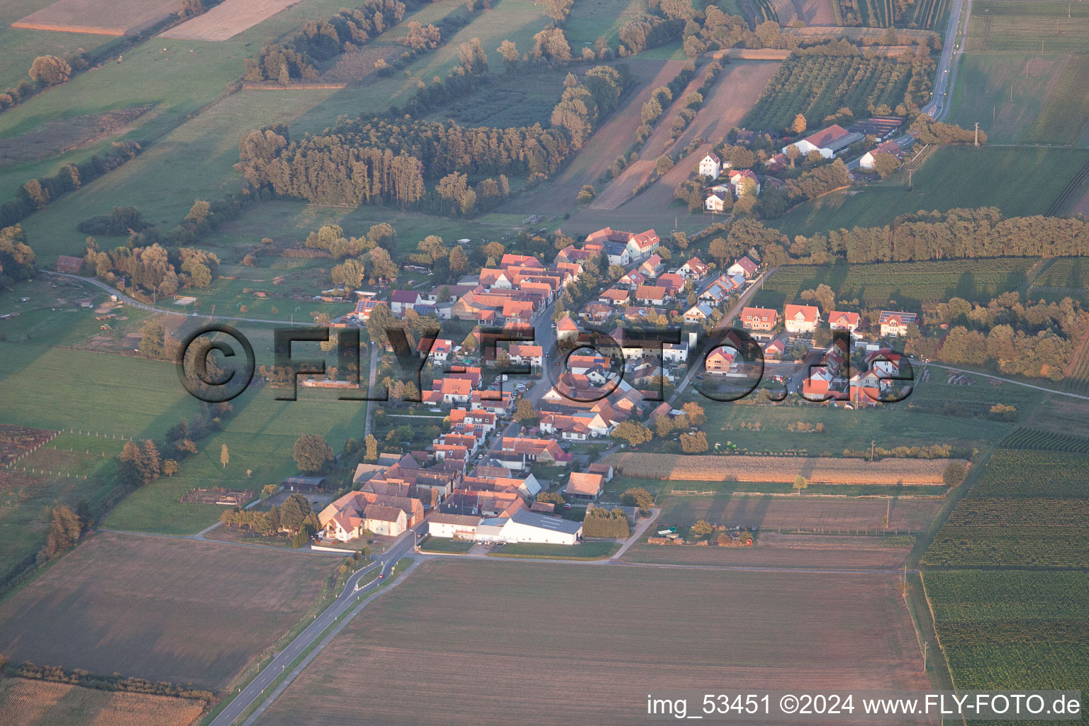 Vue aérienne de Hergersweiler dans le département Rhénanie-Palatinat, Allemagne