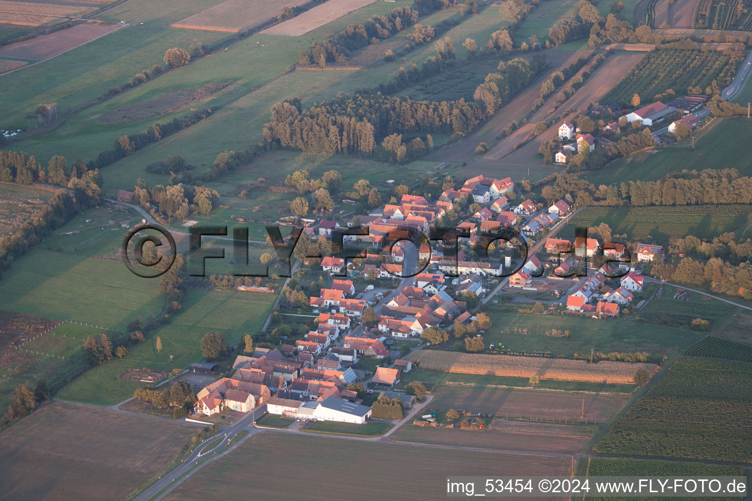 Photographie aérienne de Hergersweiler dans le département Rhénanie-Palatinat, Allemagne