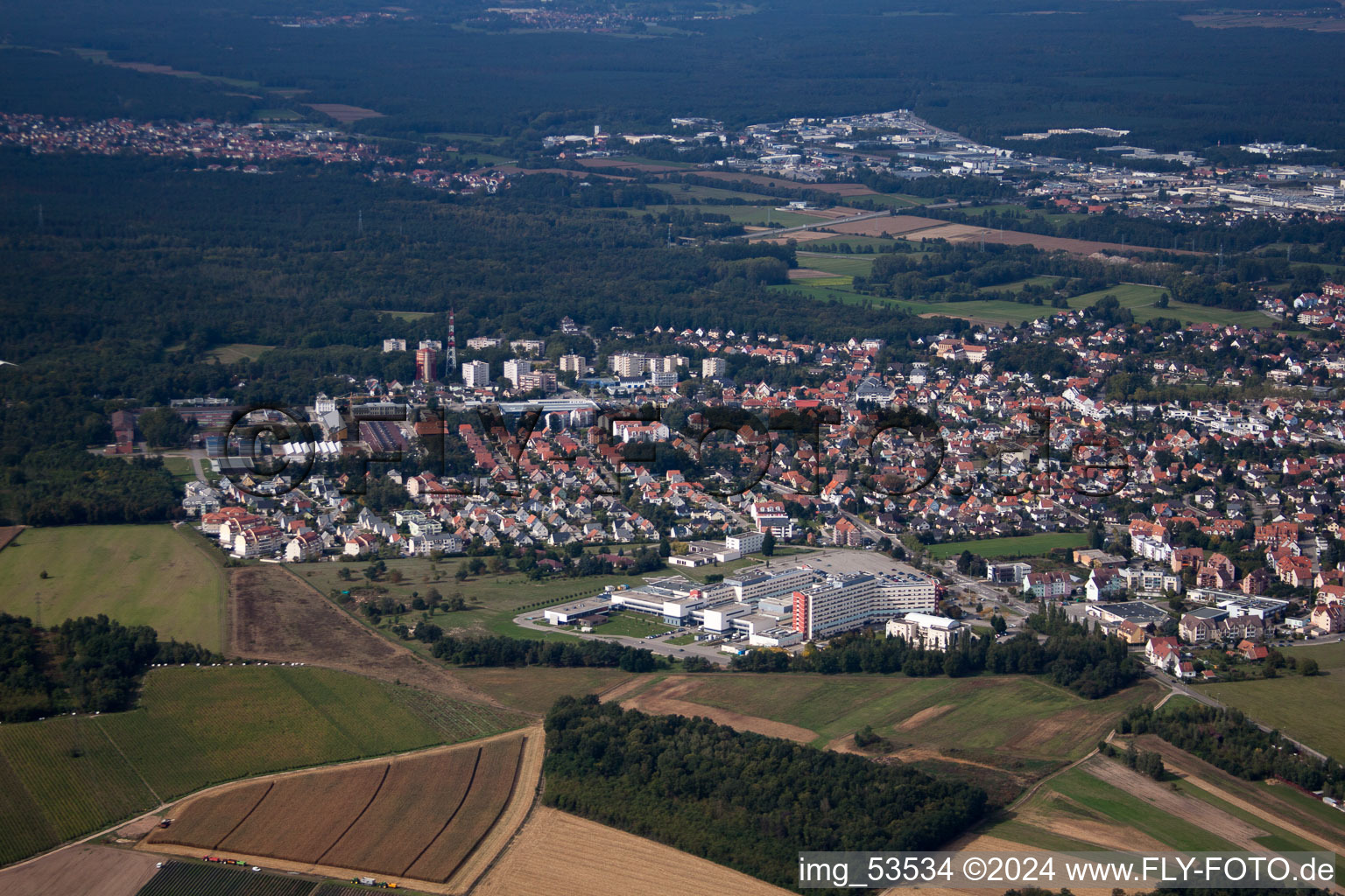 Haguenau dans le département Bas Rhin, France vue d'en haut