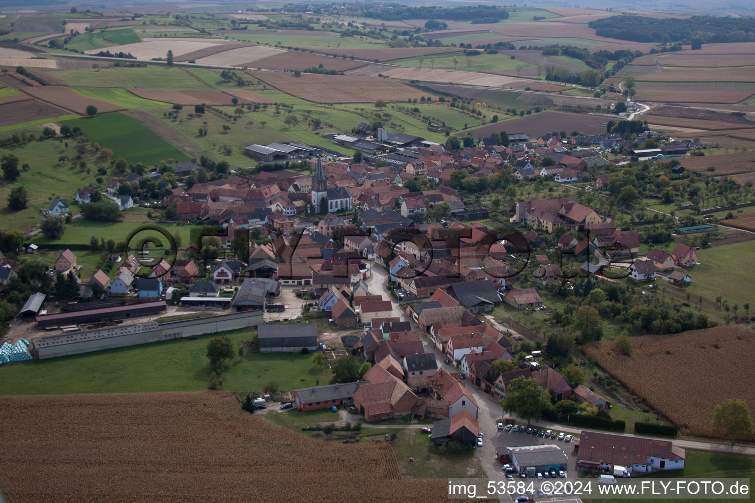 Vue aérienne de Champs agricoles et surfaces utilisables à Ingenheim dans le département Bas Rhin, France