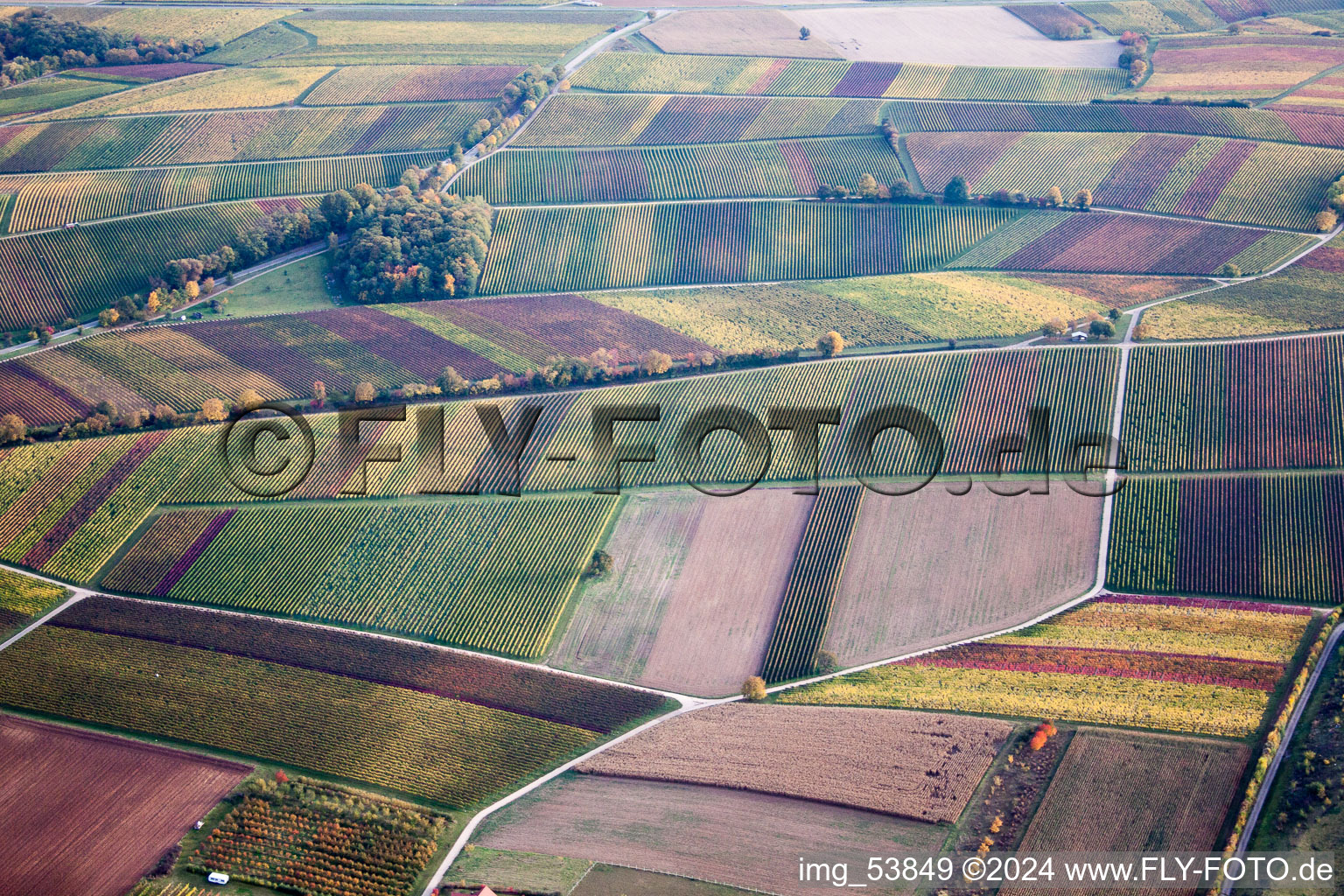 Vue aérienne de Paysage viticole des terroirs viticoles à le quartier Heuchelheim in Heuchelheim-Klingen dans le département Rhénanie-Palatinat, Allemagne