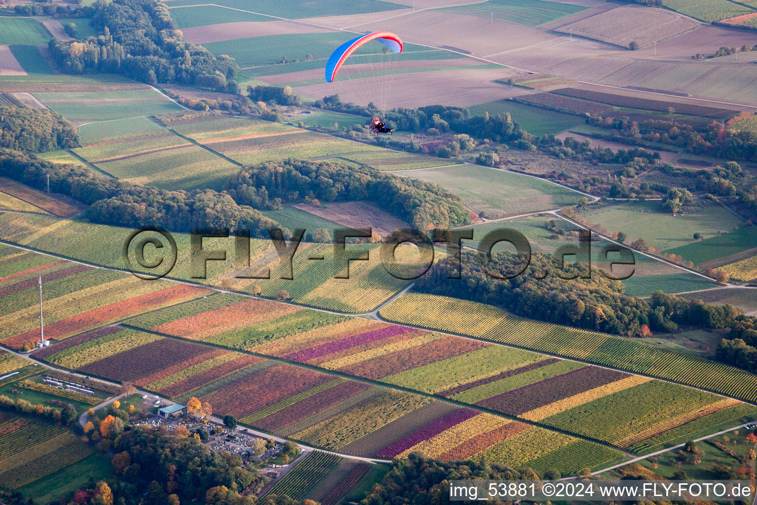 Vue aérienne de Paysage viticole avec parapente à Klingenmünster dans le département Rhénanie-Palatinat, Allemagne