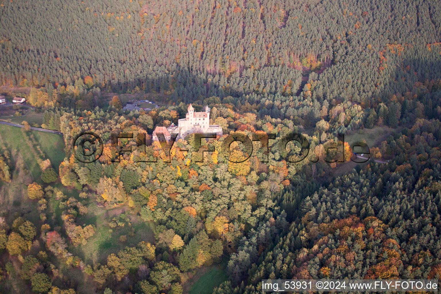 Photographie aérienne de Château de Berwartstein à Erlenbach bei Dahn dans le département Rhénanie-Palatinat, Allemagne