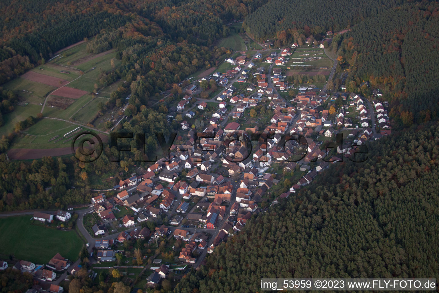Photographie aérienne de Erlenbach bei Dahn dans le département Rhénanie-Palatinat, Allemagne